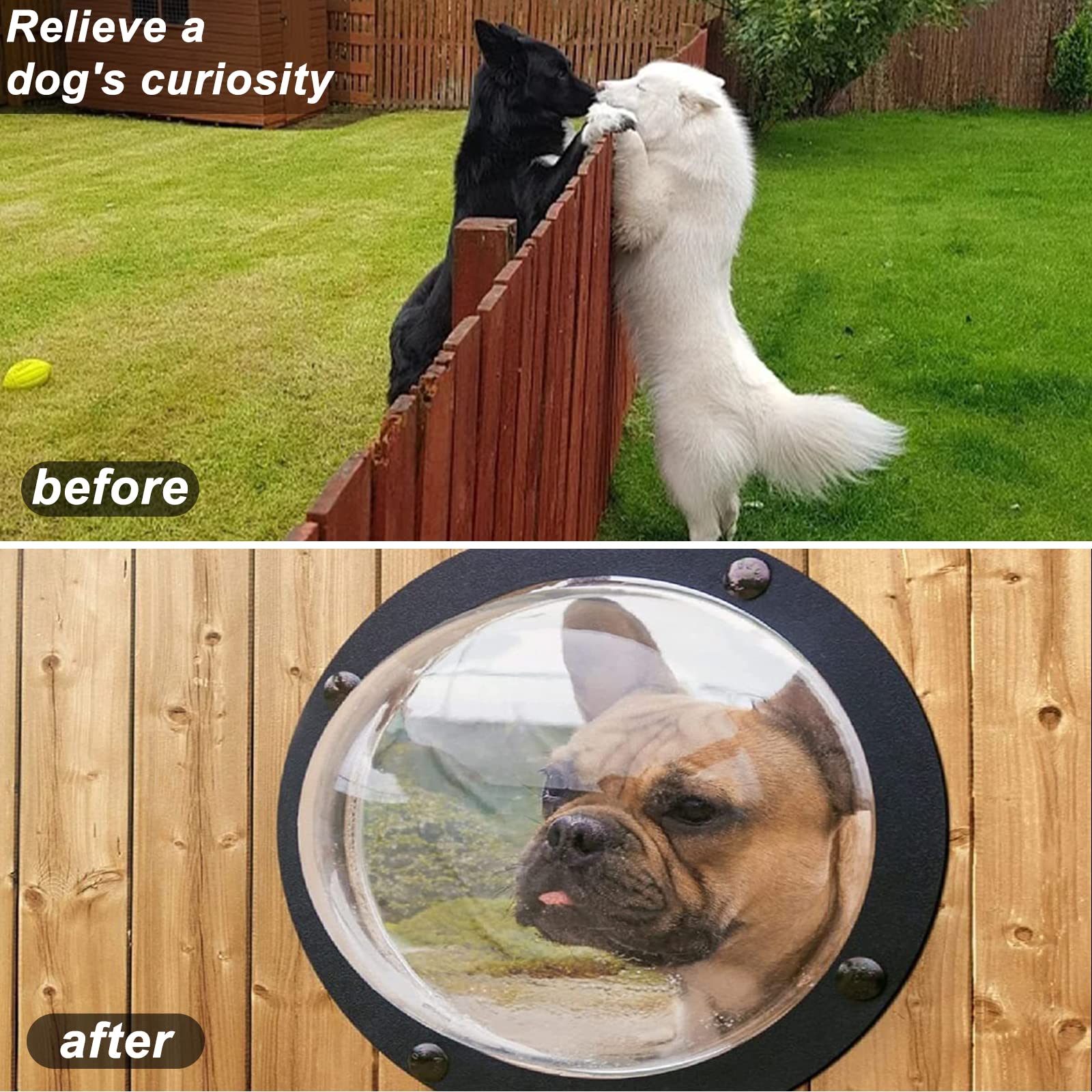 Petpeek Fence Window For Pets