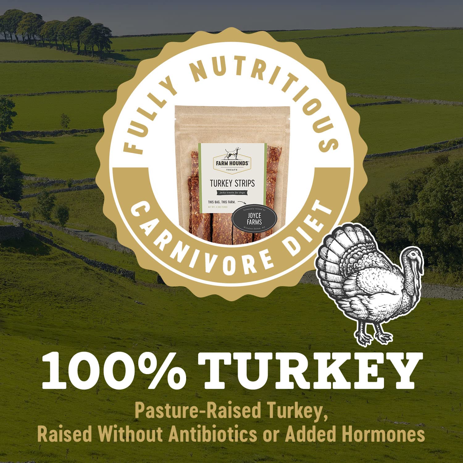 Farm Hounds - Turkey Strips - Premium Natural Jerky for Dogs - 100% Humanely Raised Turkey - Break-to-Size - Great for Training