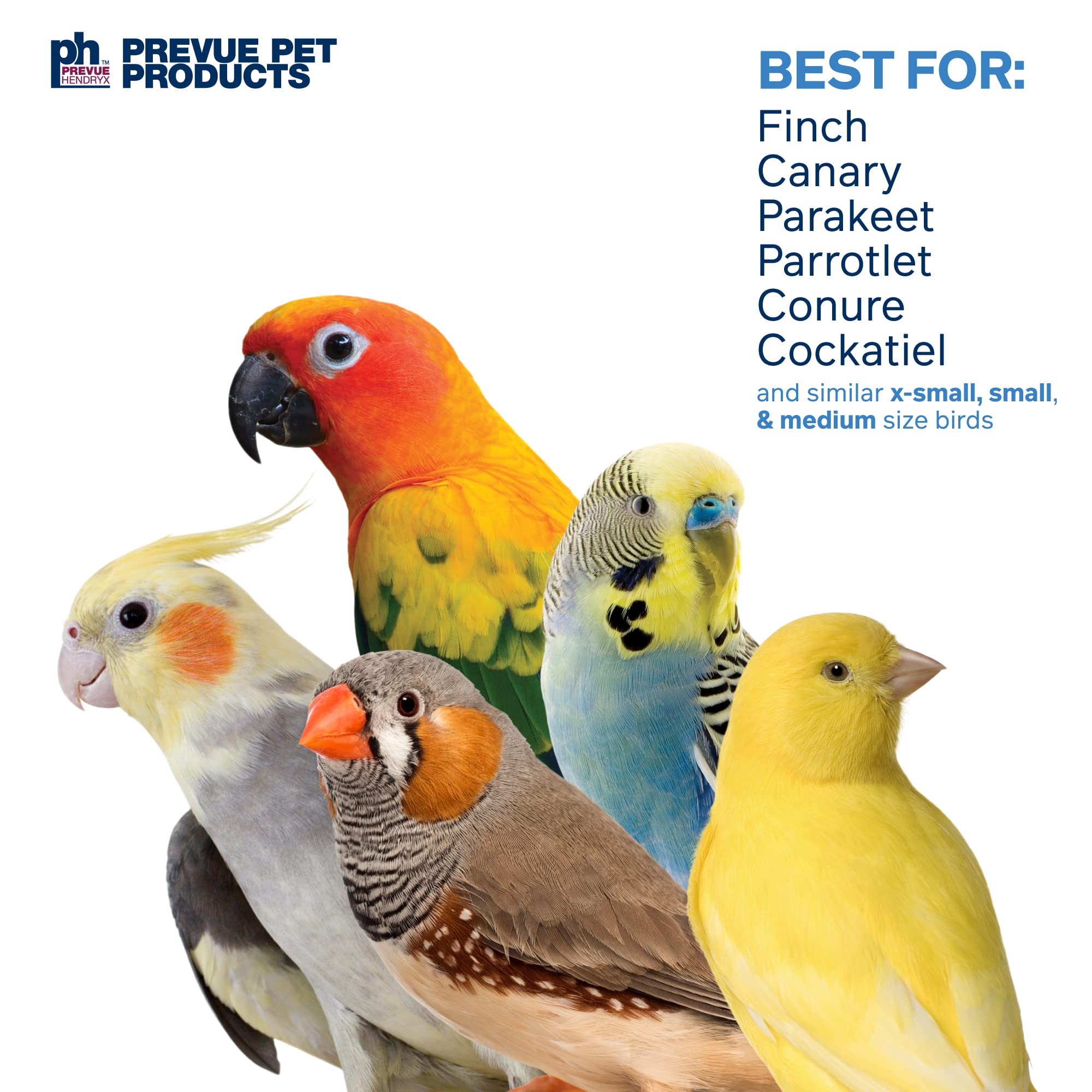 Pervue Pet Products Naturals Preen & Pacify Woodland Harvest Bird Toy 62549