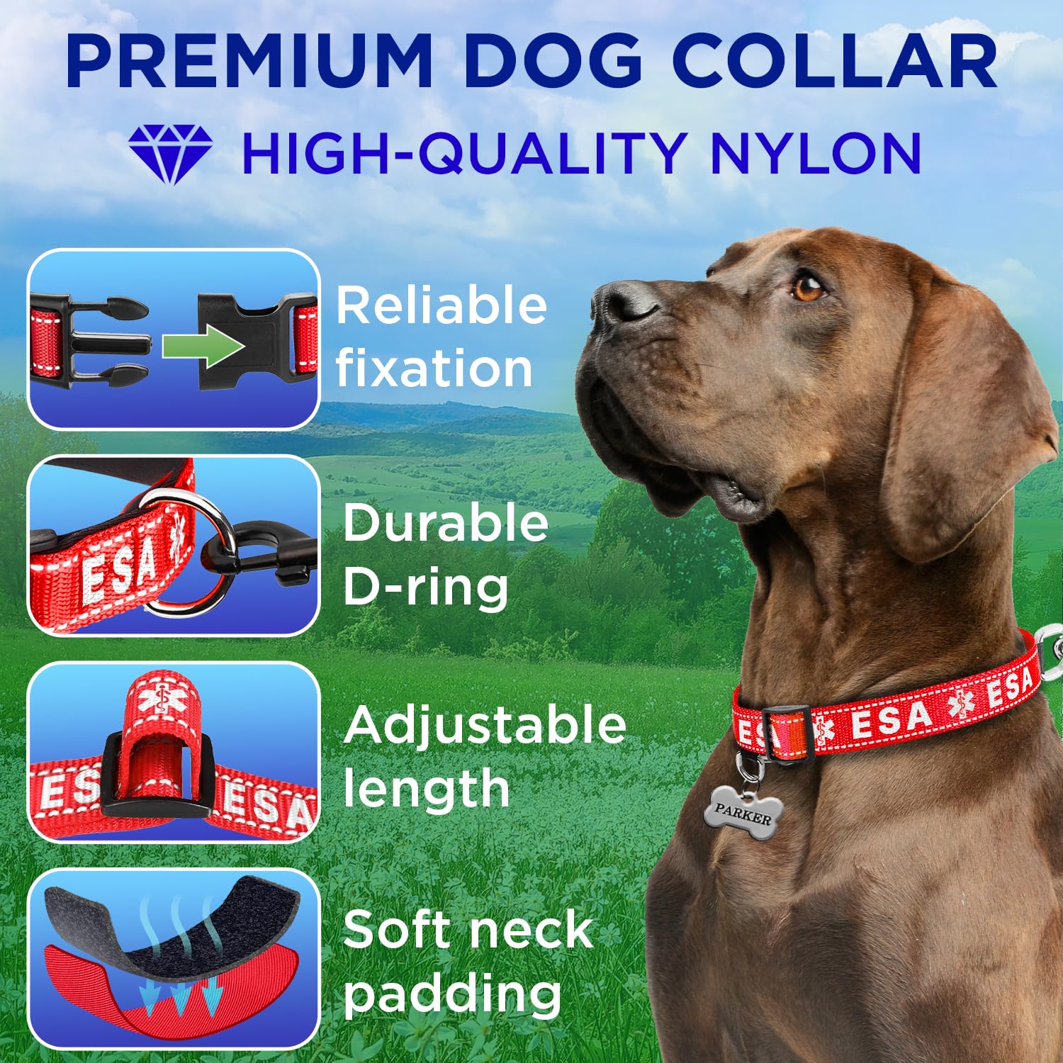 Teceum Reflective Pet Collar - Red - Esa - L - Extra Soft Padding - Basic Nylon Dog Collar - Quick Release Buckle - Fits Small,
