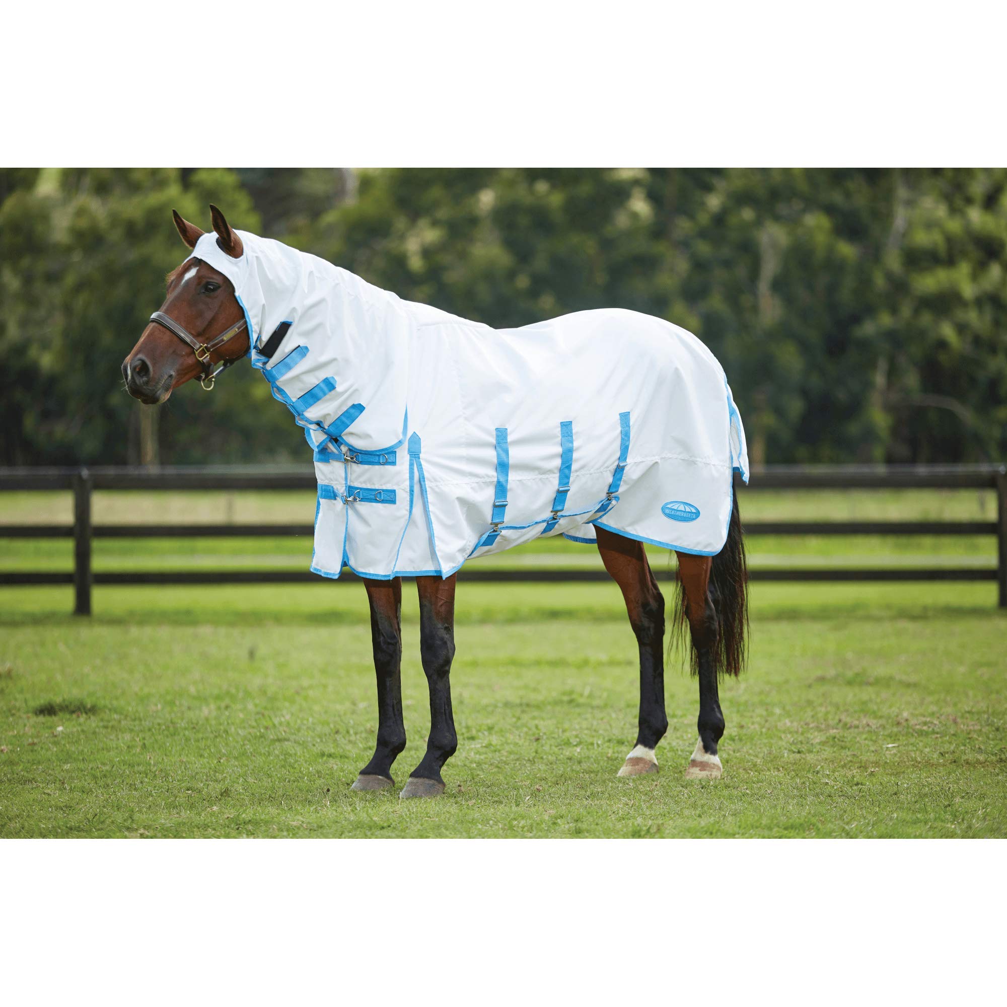 WeatherBeeta ComFiTec Sweet Itch Shield Combo Neck, White/Blue, 66