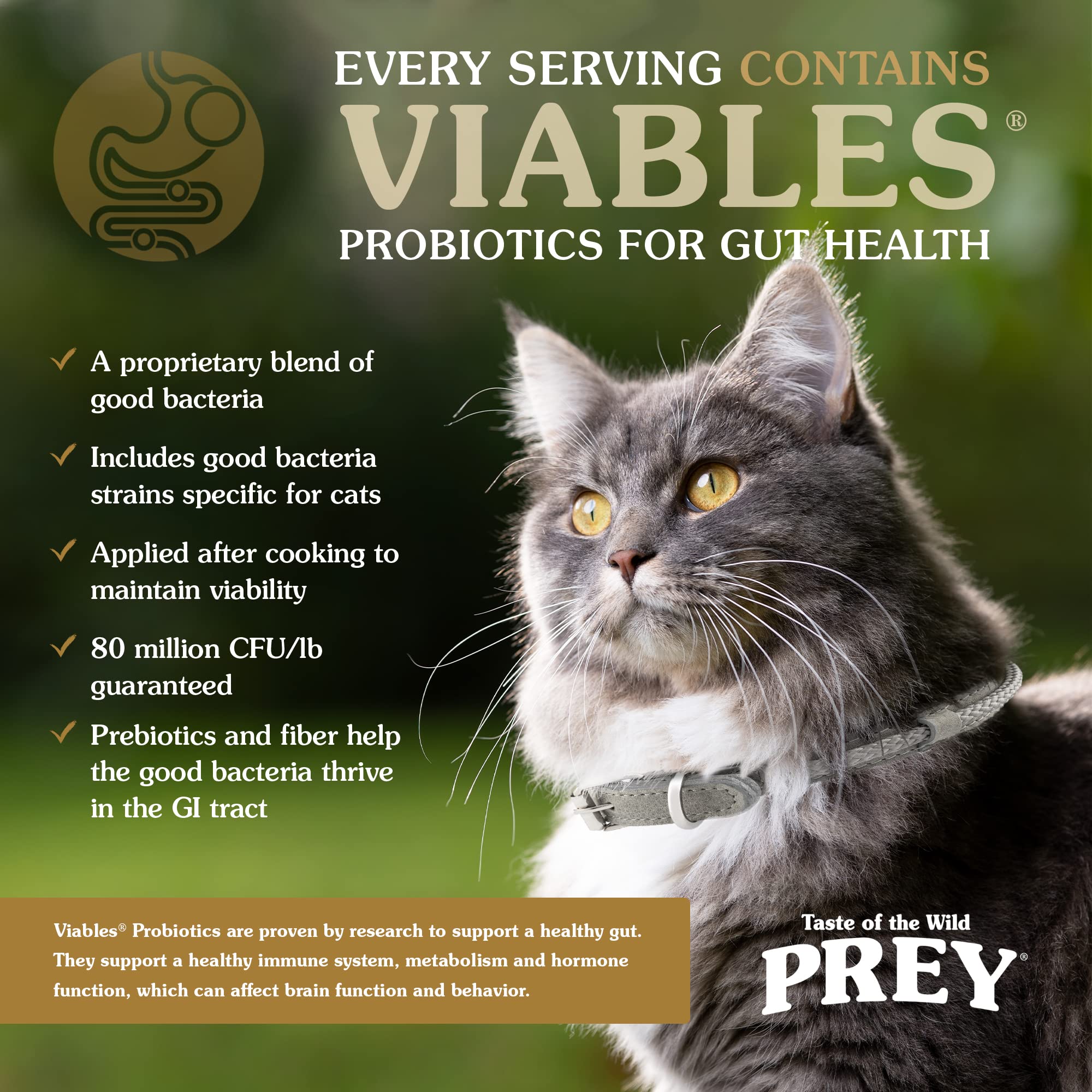 Taste of the Wild PREY Real Meat High Protein Angus Beef Limited Ingredient Dry Cat Food Grain-Free Recipe Made with Real Pastur
