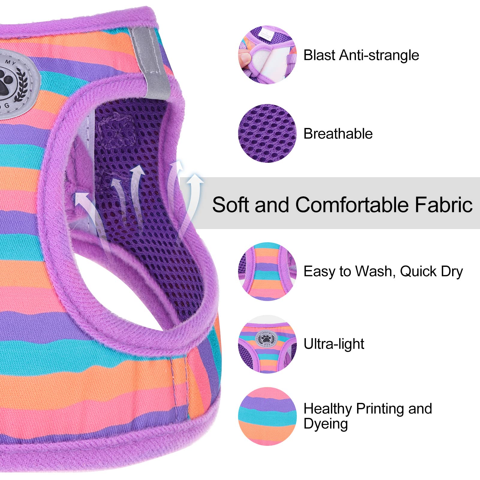 Beautyzoo Dog Harness And Leash Set For Small Dogs,No Pull Step-In Harness For Puppy Xs S Sized Dogs And Cats,Air Mesh Adjustabl