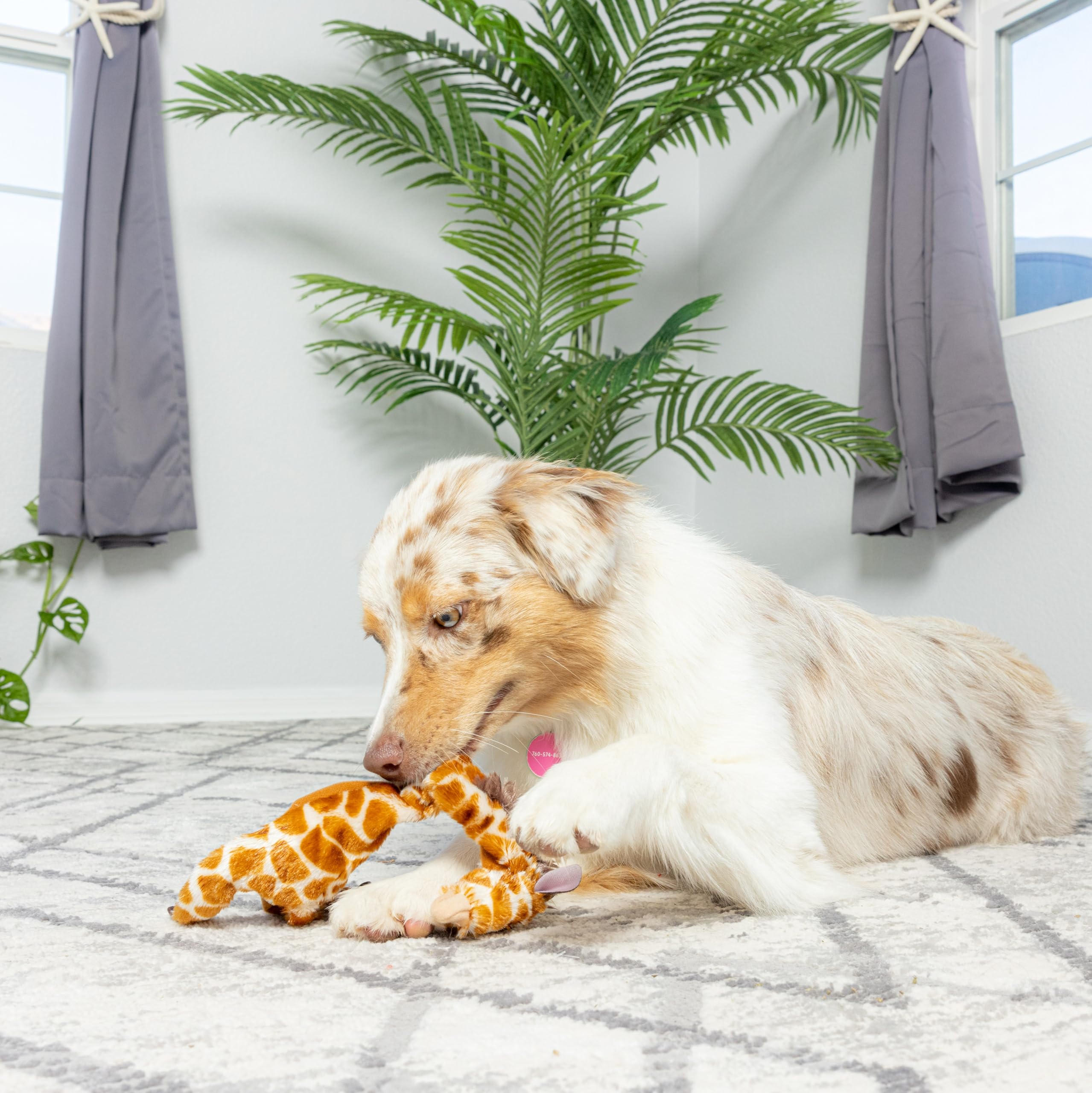Spot Skinneeez Stuffless Dog Toy With Squeaker | Plush Tug Of War Giraffe Squeak Toy For Small And Large Dog Breeds | Interactive Dog Toy | Large