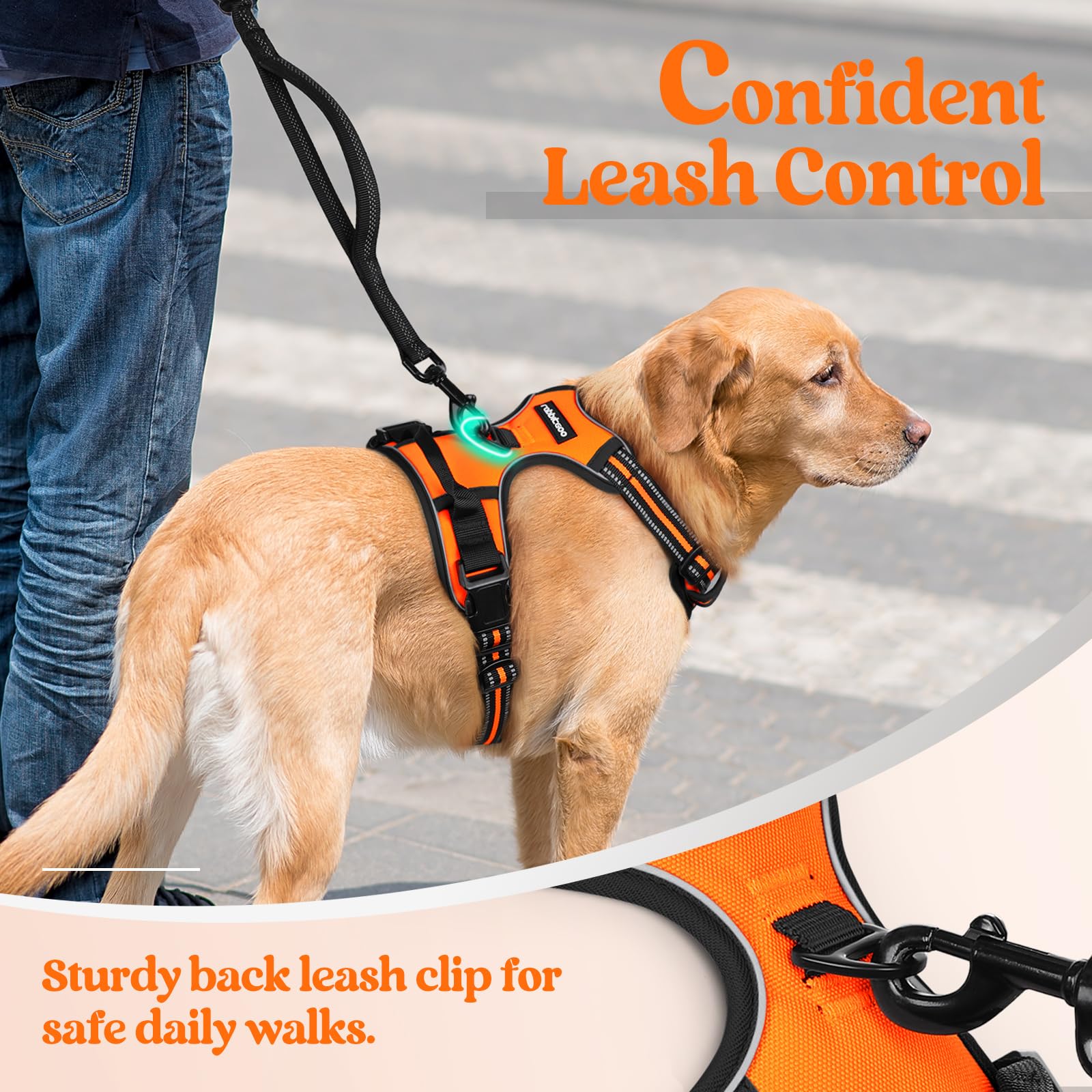 Rabbitgoo Dog Harness No Pull With 2 Leash Clips, Adjustable Soft Padded, Reflective Oxford No Choke Pet Vest With Easy Control Handle For Large Dogs,Orange,L