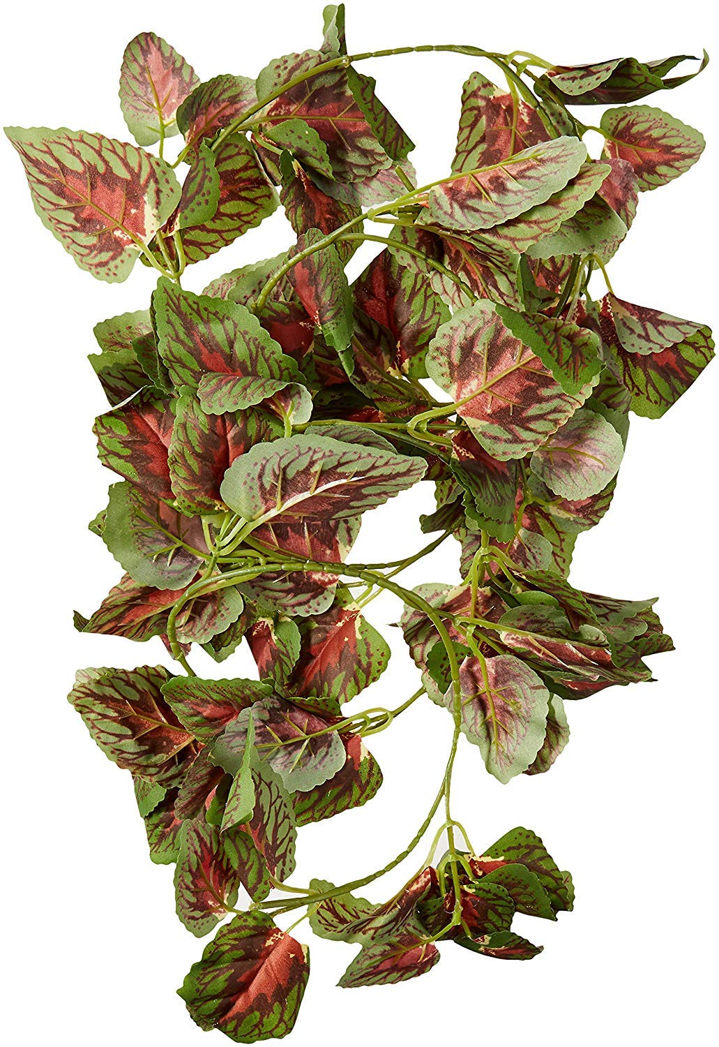 FK 6ft RED COLEUS REPTI VINE