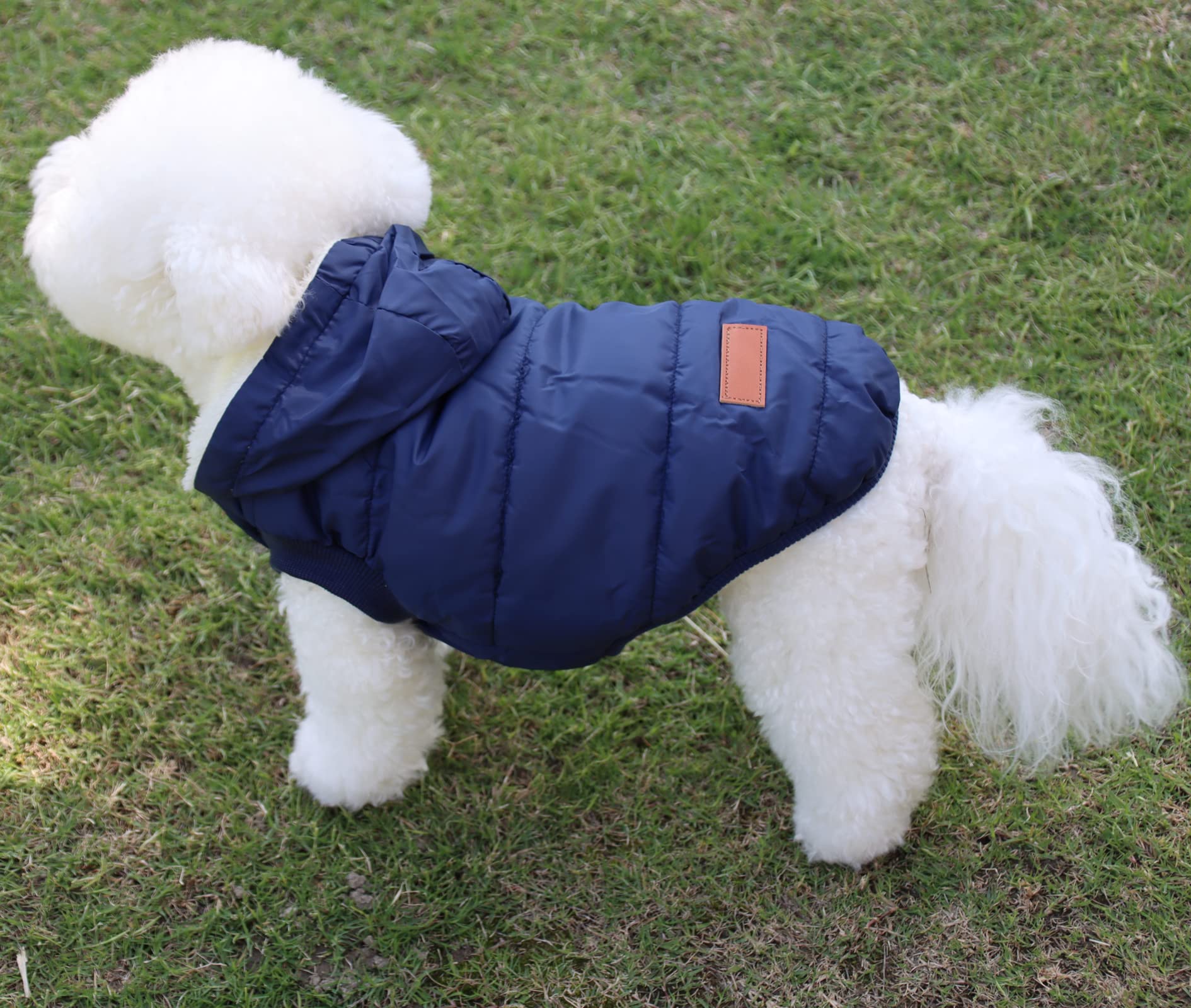 Vecomfy Fleece Lining Extra Warm Dog Hoodie In Winter For Large Dogs Jacket Pet Coats With Hooded,Blue Xl
