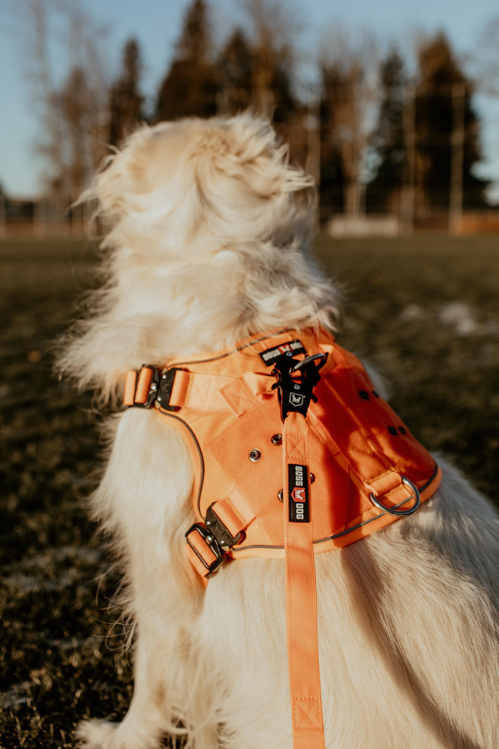 Boss Dog Tactical Leash, Hunter Orange, 4 Ft