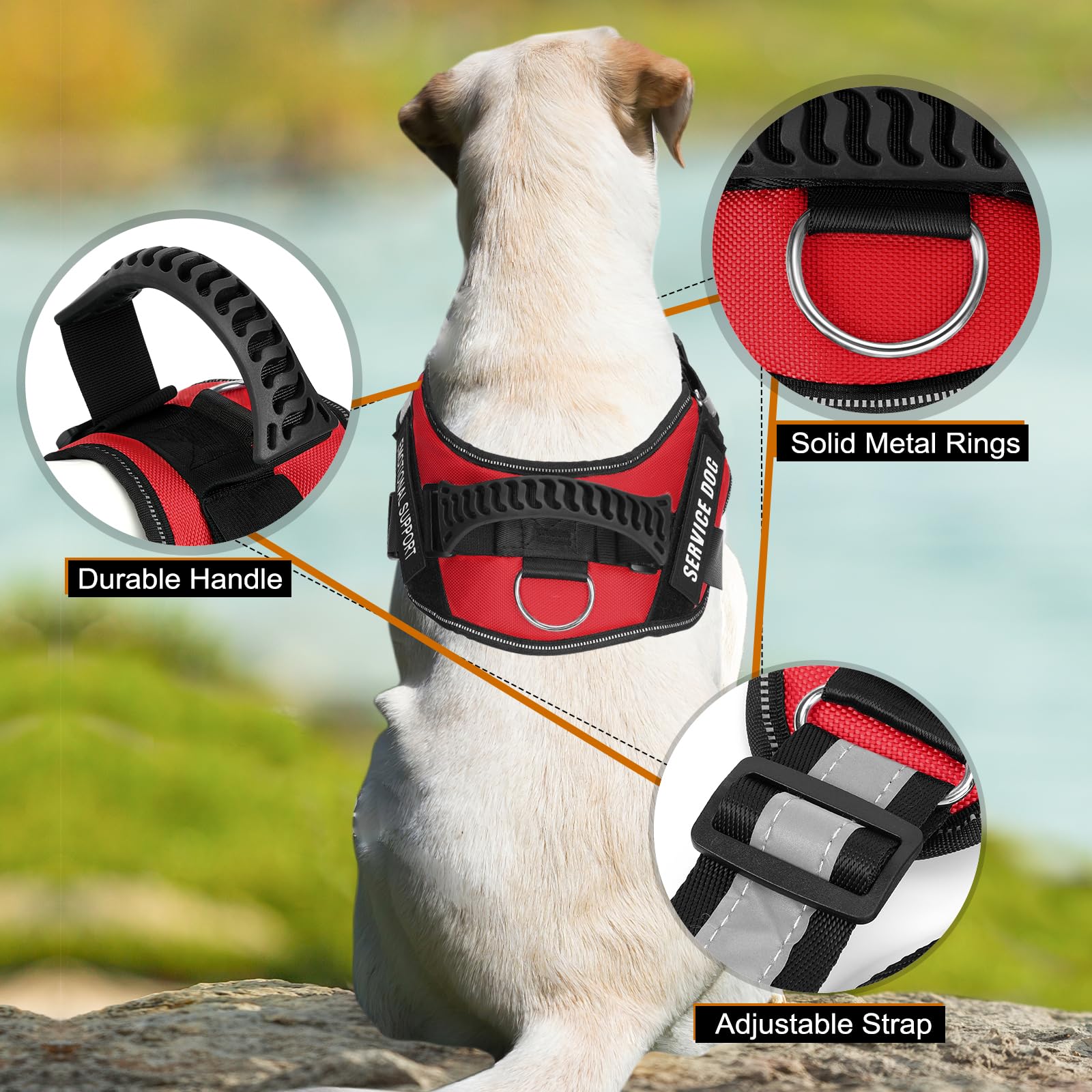 Service Dog Vest Harness + 50 Ada Information Cards + 4 Patches, Animire Reflective Emotional Support Dog Vest With Sturdy Handl