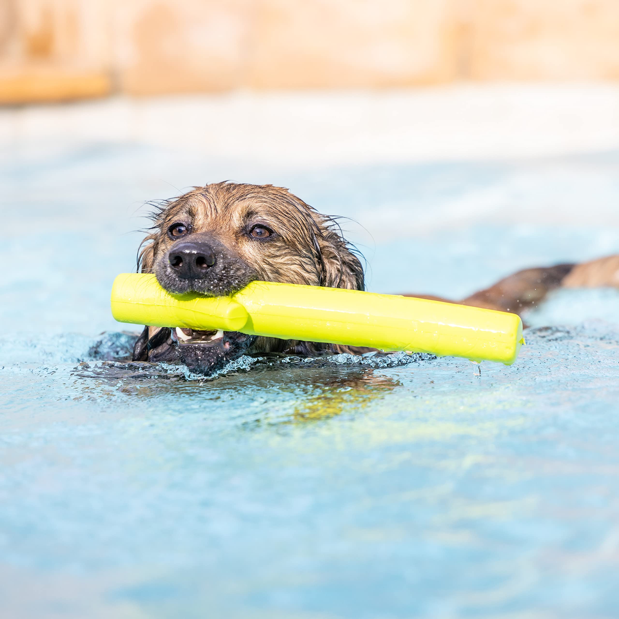 Hyper Pet Fetching Dog Toys - Throwing Stick Dog Toy Made With Eva Foam - Easy To Clean & Floats On Water