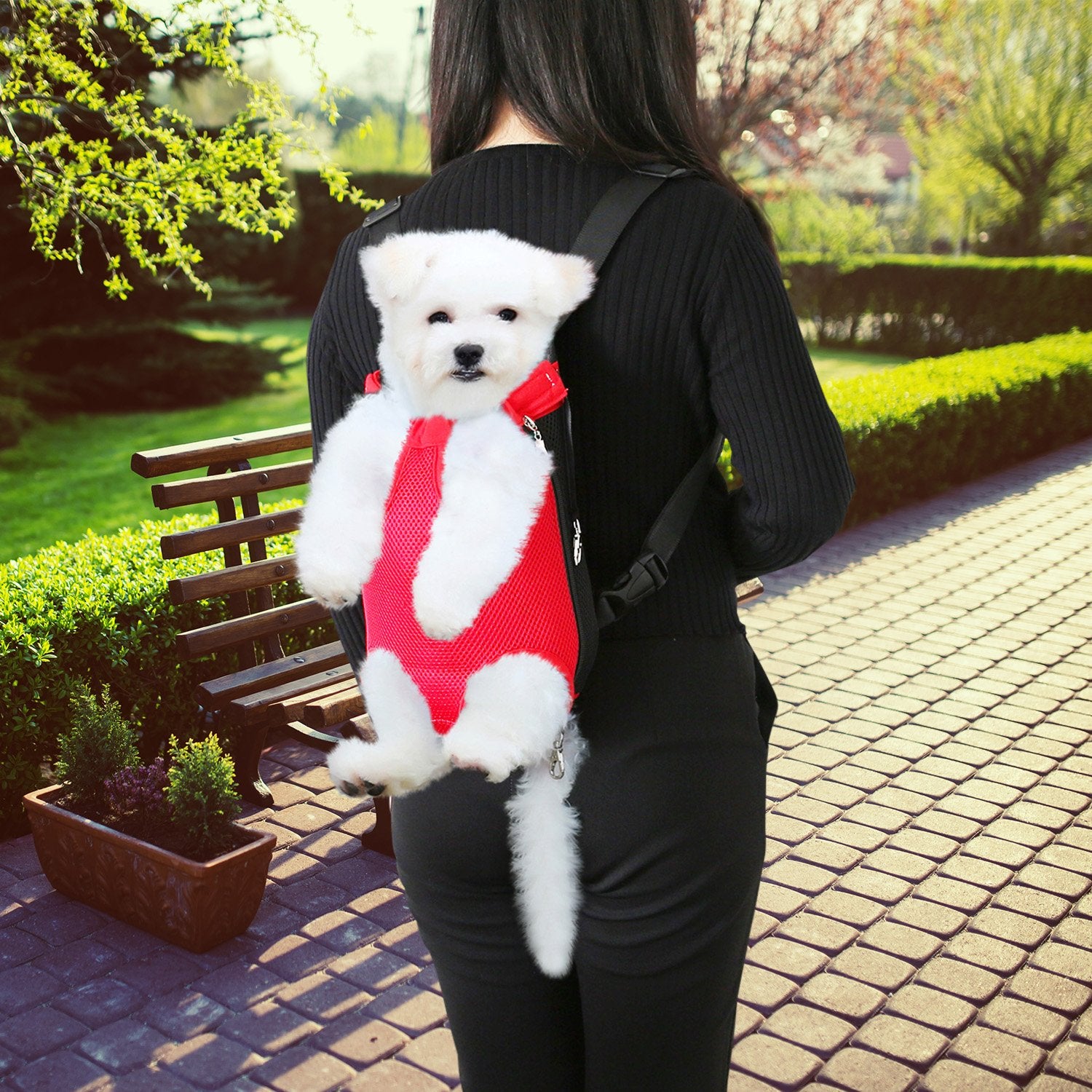 Dog Carrier Backpack Legs Out Front Pet Backpack Carrier Travel Bag Adjustable Shoulder Straps for Hiking Camping Shopping Bikin