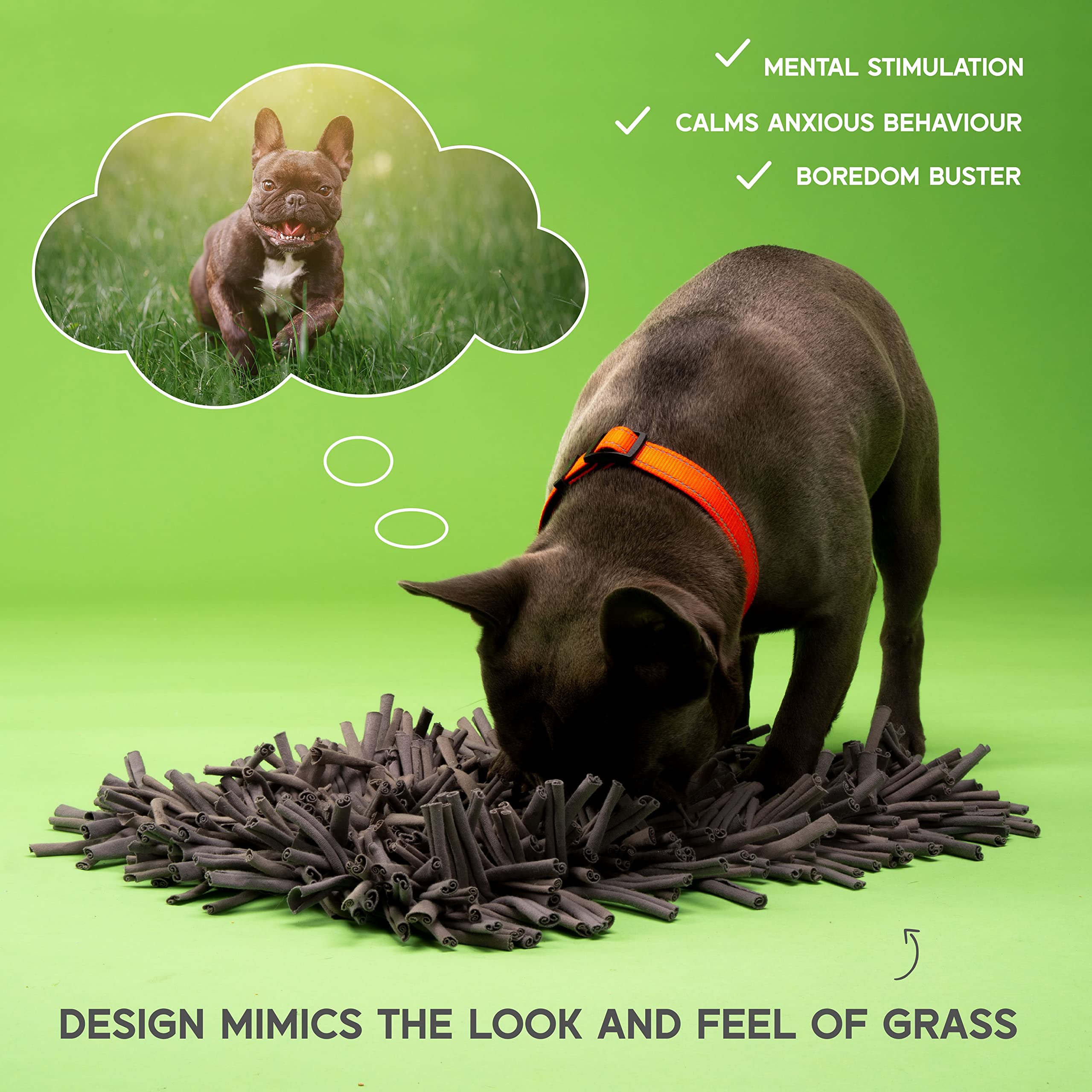 Paw 5 Dog Snuffle Mat For Dogs Small Dog Toys Interactive, Boredom & Anxiety Premium Feeding Mat For Slow Eating & Smell Trainin
