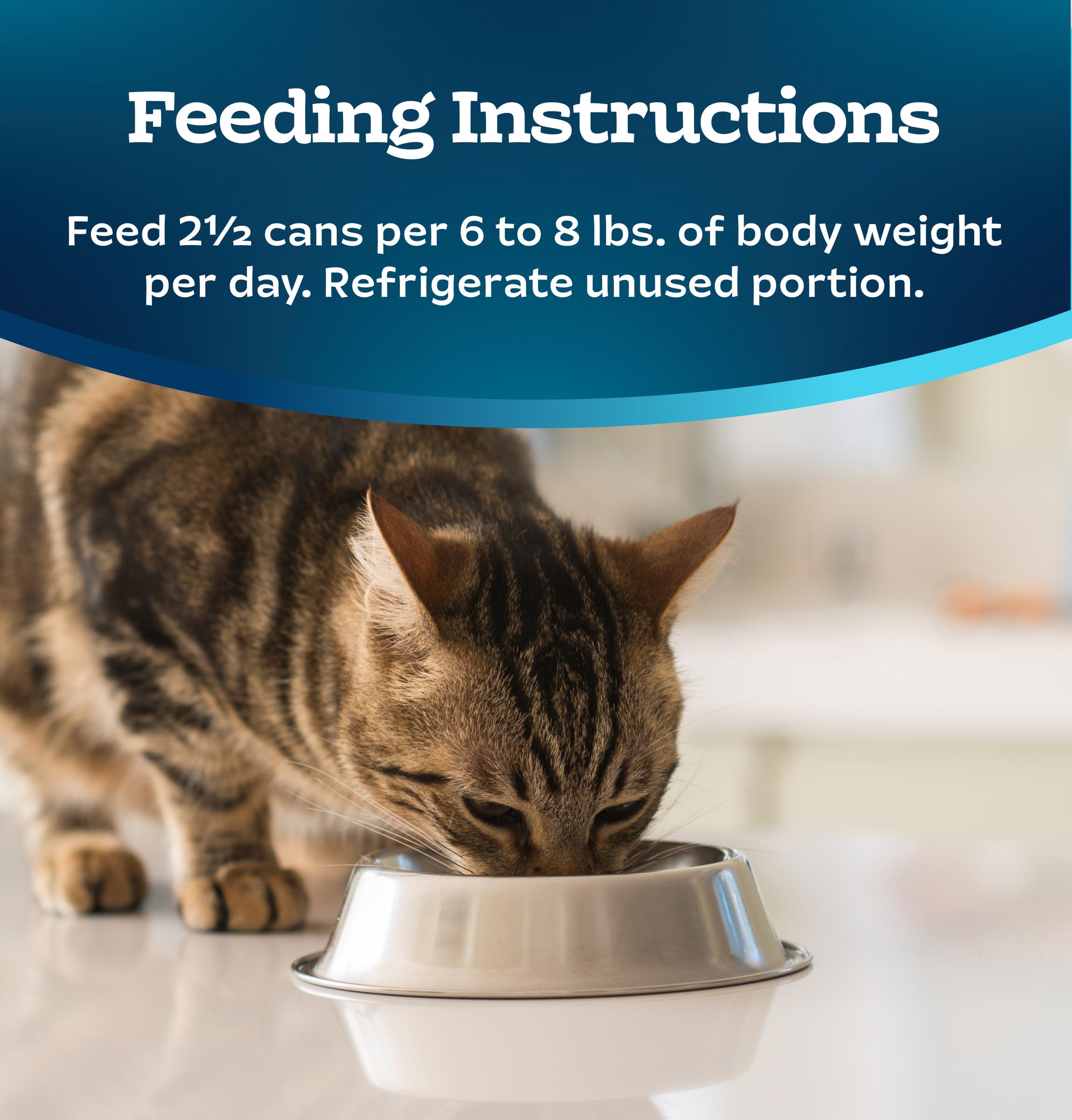 Blue Buffalo Tastefuls Natural Tender Morsels Wet Cat Food, Chicken Entr  e 3-oz cans (Pack of 24)