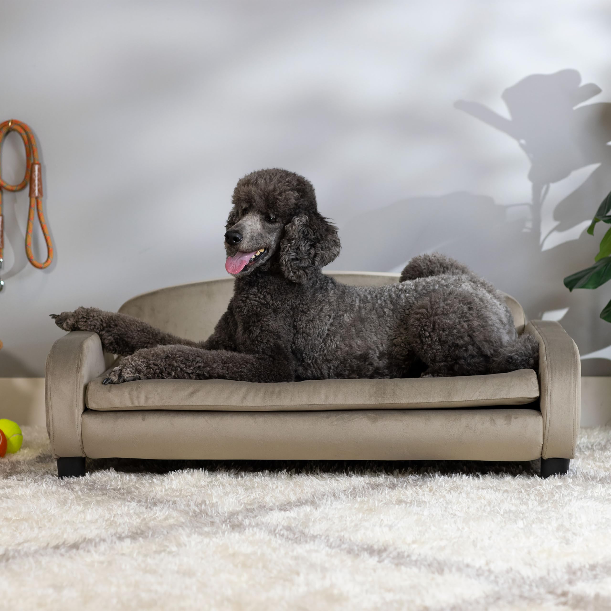 Paws & Purrs Large Dog Sofa Bed – 41.5" Elevated Couch for Medium & Large Dogs, Washable Cover, Espresso/Ash, Model 61111