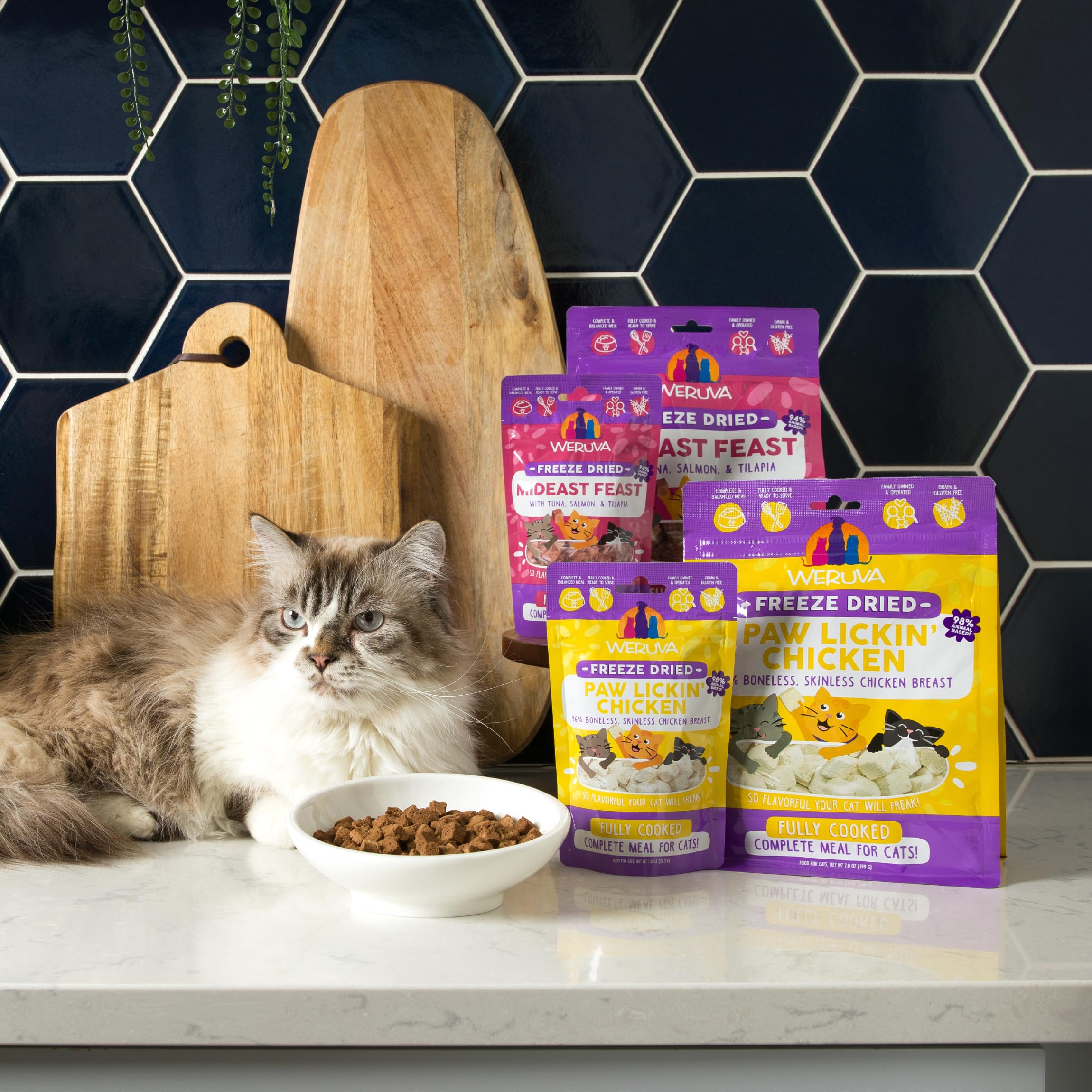 Weruva Cat Freeze Dried, Mideast Feast with Tilapia, 1oz Bag