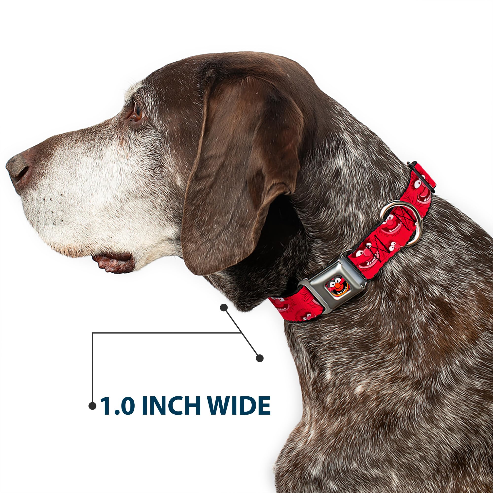 Buckle-Down Seatbelt Buckle Dog Collar - Animal Expressions Scattered Reds - 1' Wide - Fits 15-26' Neck - Large