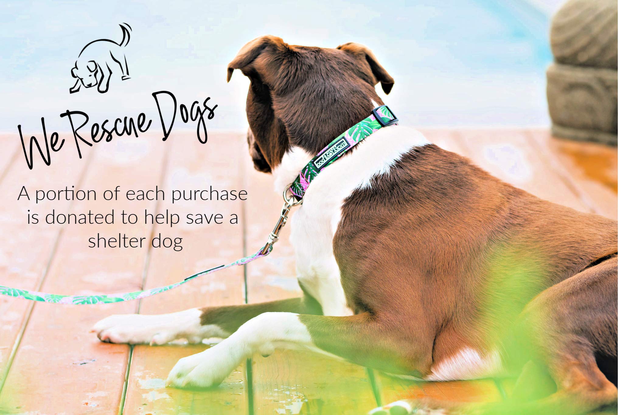 Lucky Love Dog Leash - Soft, Durable, And Comfortable Leash With Vibrant Patterns - Stylish And Long Lasting For Small, Medium,