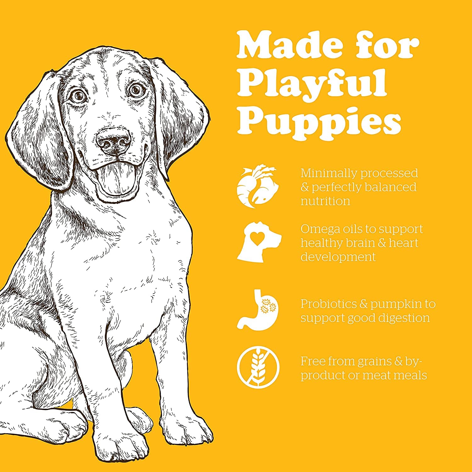 Now Fresh Grain-Free, Dry Dog Food, Real Meat and Fish, Turkey, Salmon and Duck Puppy Recipe, All Breed Size, 22 lb Bag