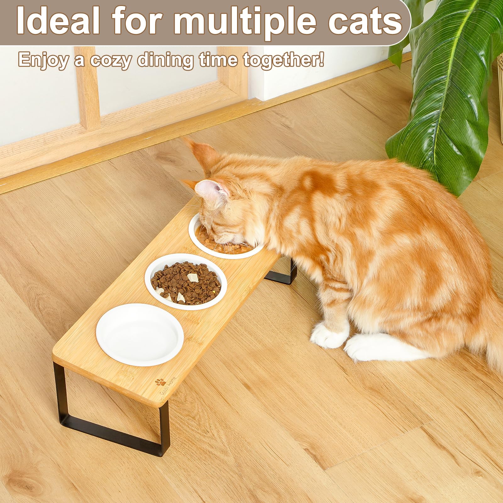 Sunhoo Raised Cat Food Water Bowl Elevated Tilted Kitty Dishes Set of 3 Ceramic Dish for Indoor Cats Orthopedic Pet Food Stand A