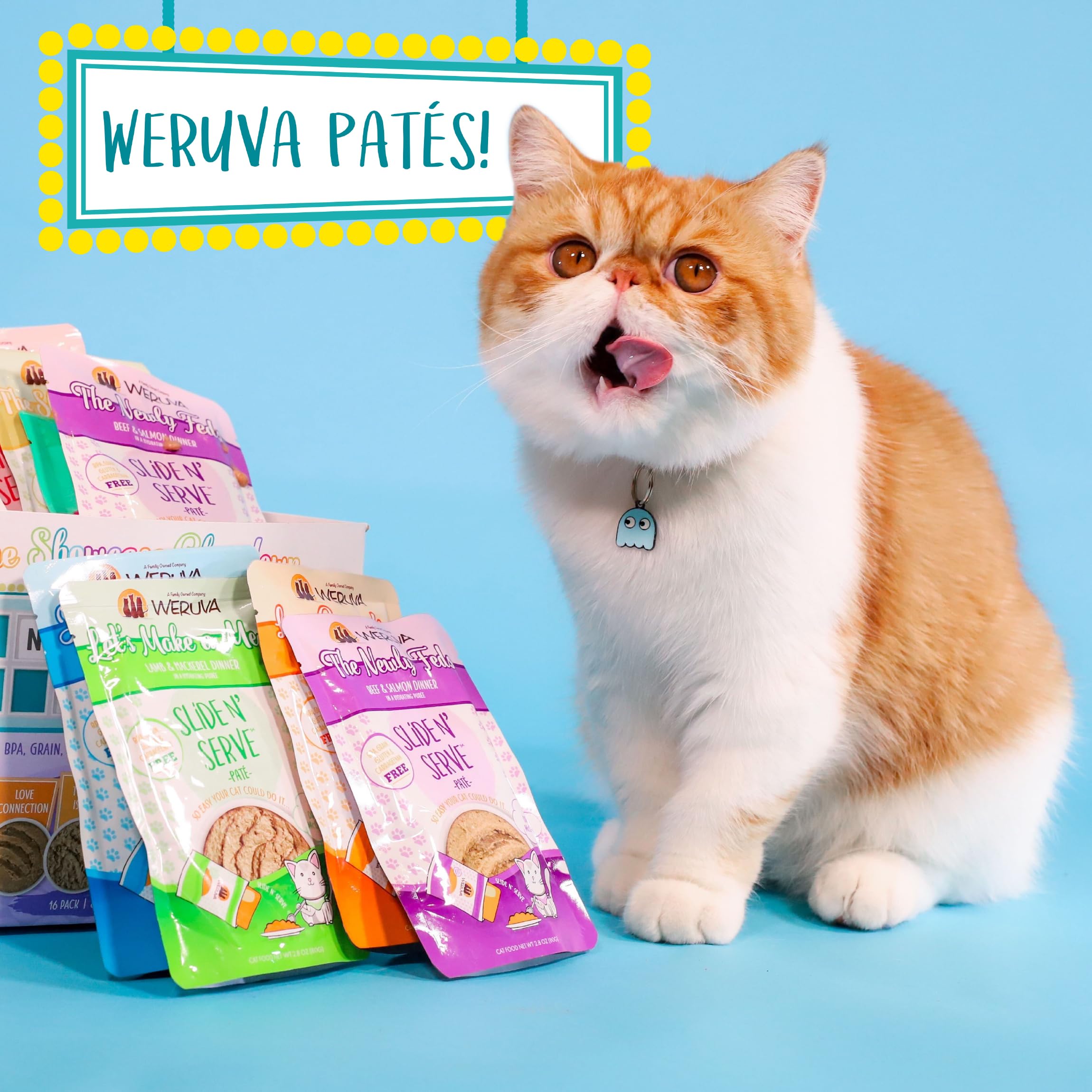 Weruva Slide N Serve Pat   Wet Cat Food, Jeopurrdy Licious Chicken Dinner, 2.8oz Pouch (Pack of 12)