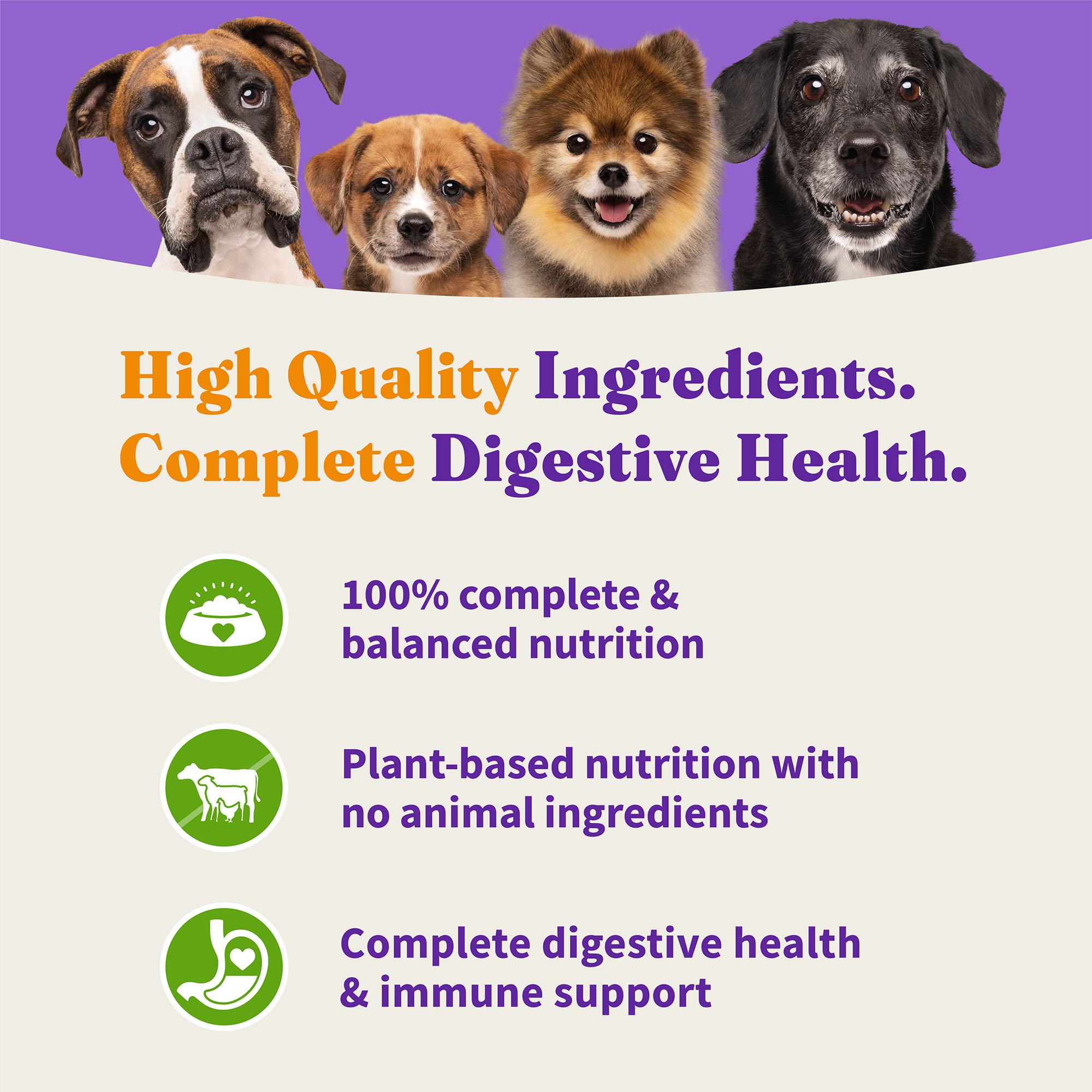 Halo Holistic Adult Dog Vegan Plant-Based Recipe with Superfoods 3.5 lb Bag
