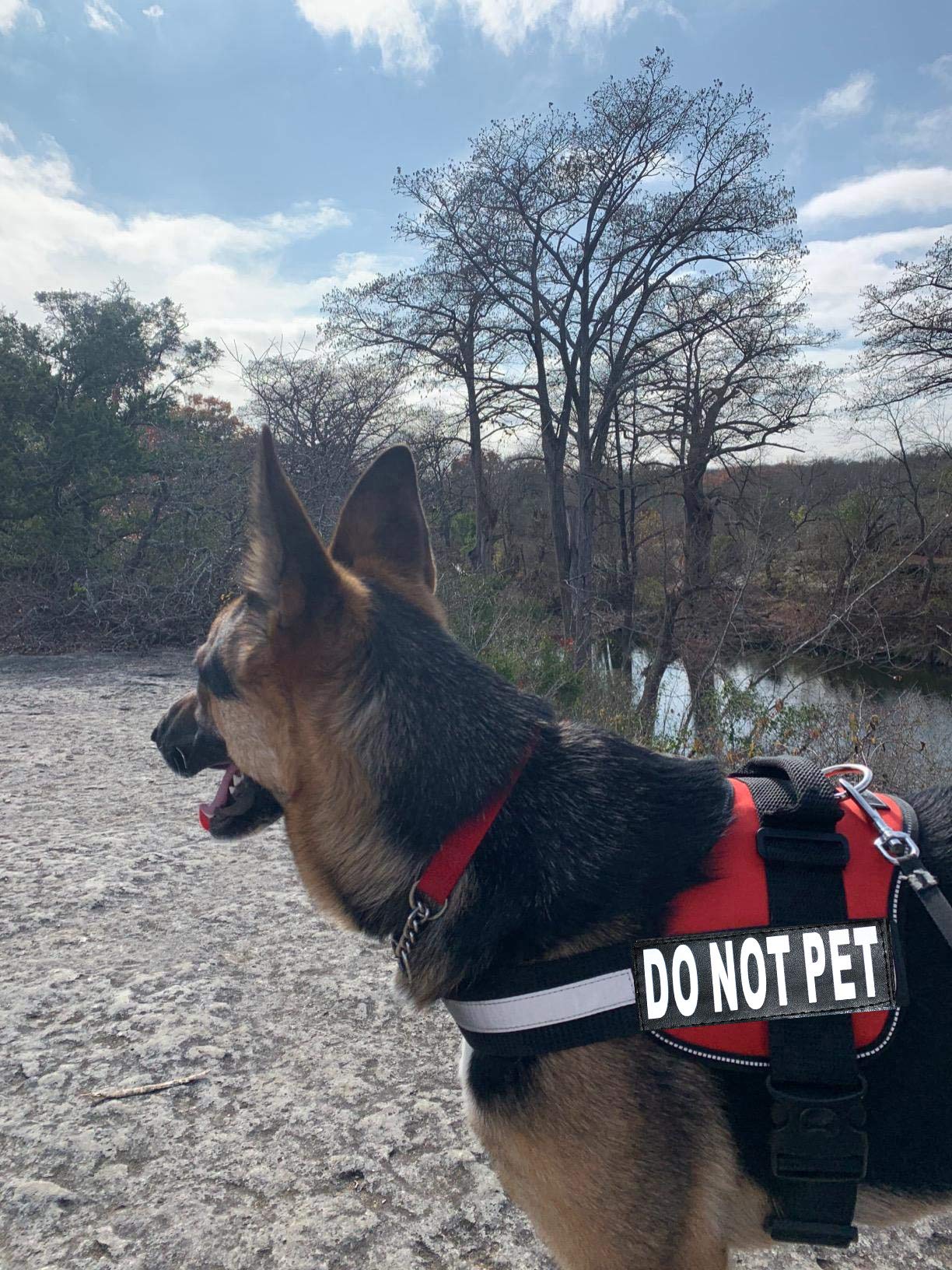 Doggie Stylz Dog Harness with DO NOT PET Patches - No Pull Service Dog Vest and Service Animal Vest for Dogs - Adjustable Gentle