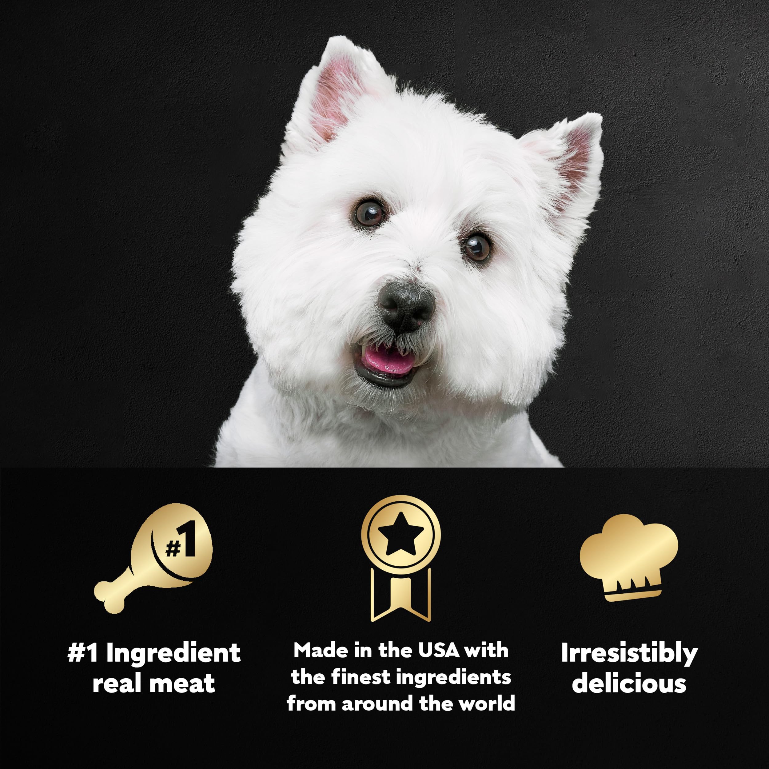 Cesar Wet Dog Food Loaf & Topper in Sauce, Filet Mignon Flavor with Bacon & Potato, 3.5 oz. Easy Peel Trays (24 Count, Pack of 1