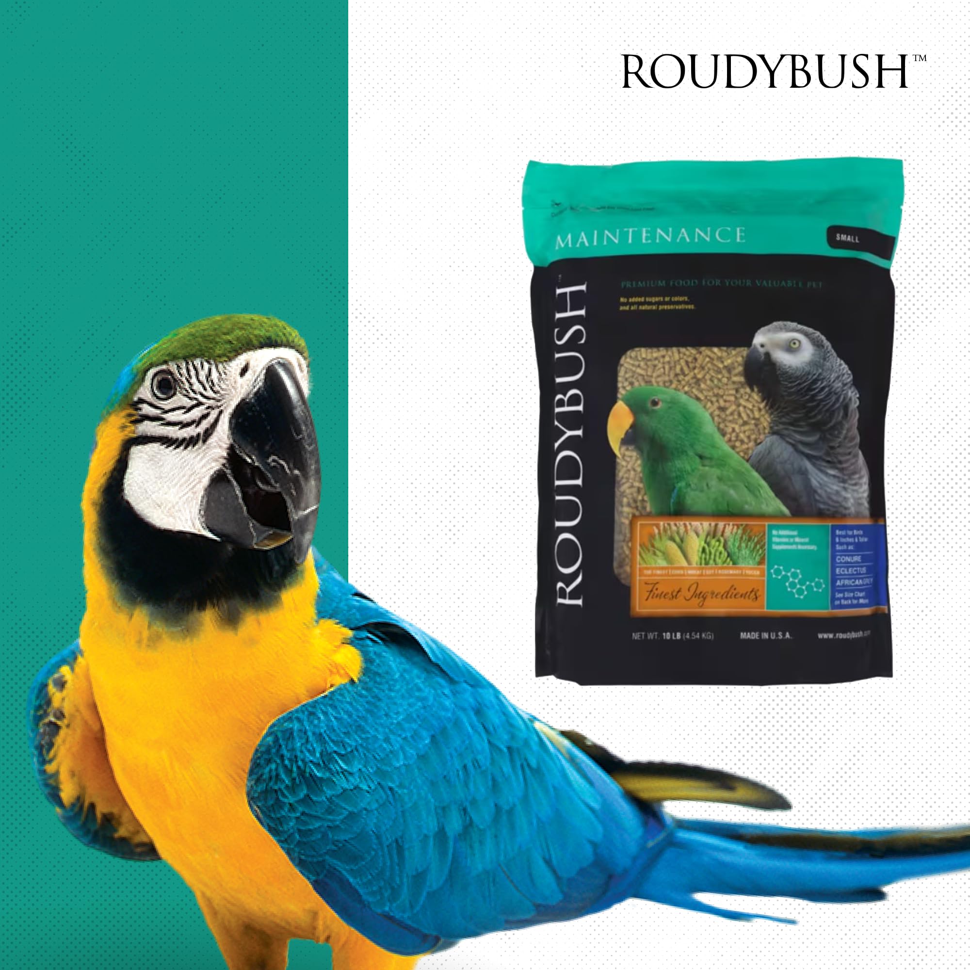 Roudybush Daily Maintenance Bird Food, Small, 10-Pound