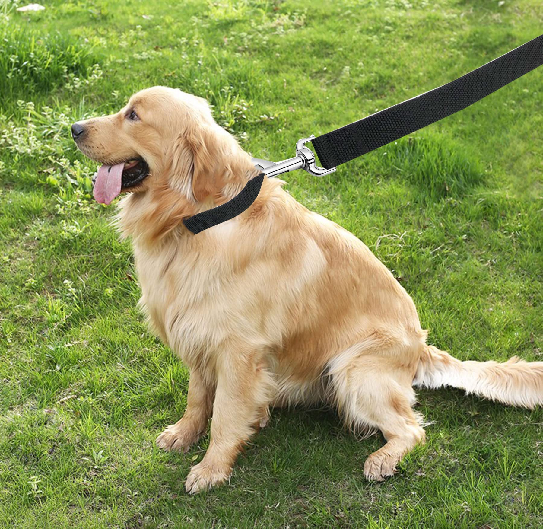 Taian 4Ft/5Ft/6Ft Strong Dog Leash, Nylon Dog Leashes For Small Medium Large Dogs (5/8 In X 5 Ft, Black)
