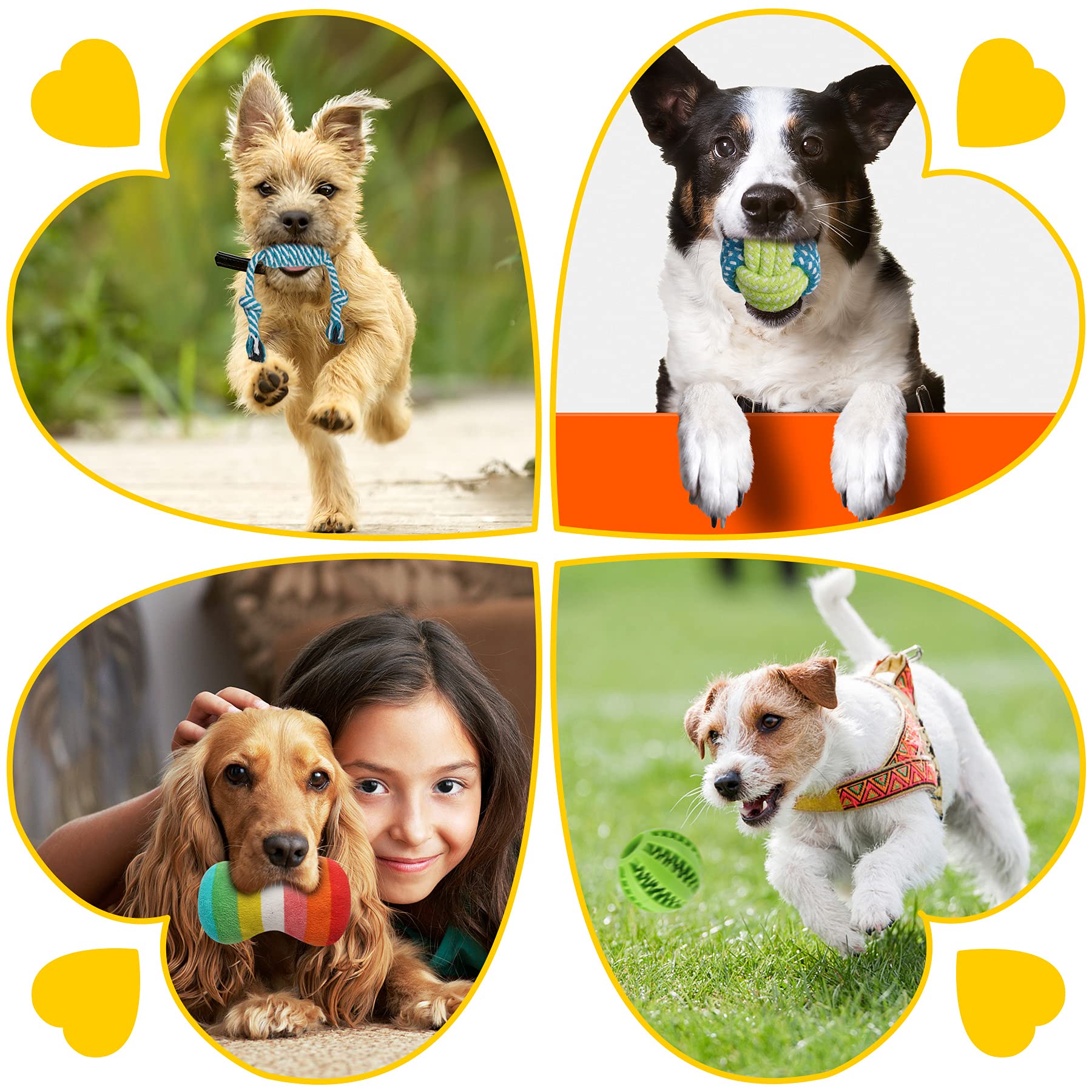 Zeaxuie 25 Pack Luxury Dog Chew Toys For Puppy, Dog Toys With Ropes Puppy Chew Toys, Treat Ball And Squeaky Puppy Toys For Teething Small Dogs