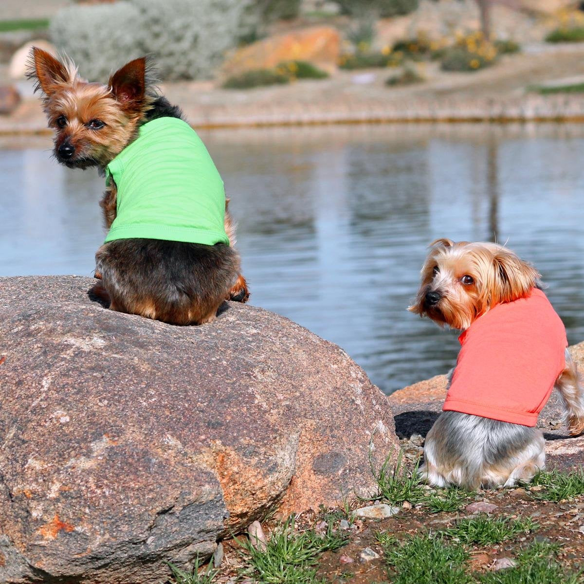 Doggie Design Cotton Dog Tank (Green Flash, 2Xl)