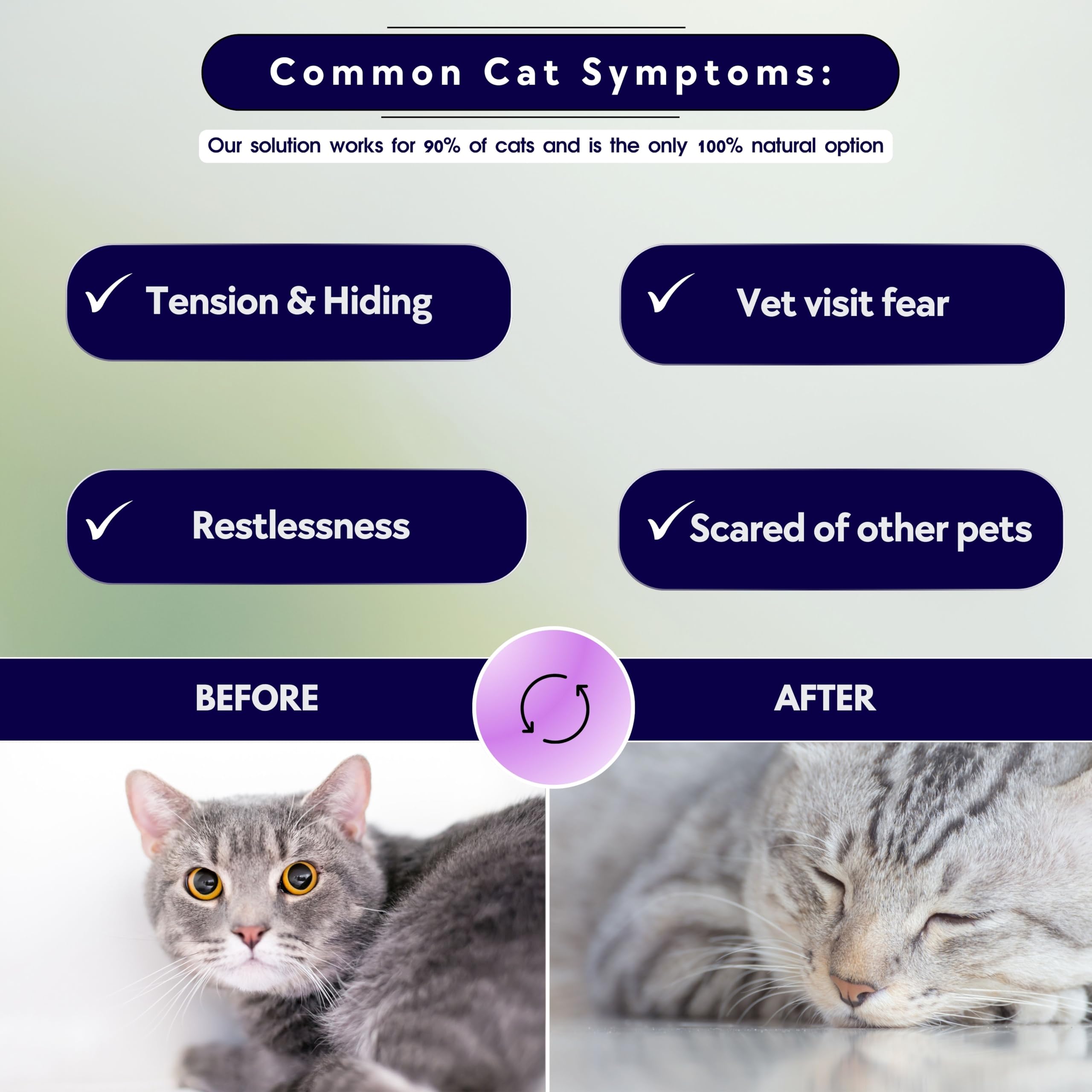 Rollerpawster Natural Lava Rock Cat Collar (Lavender Oil)