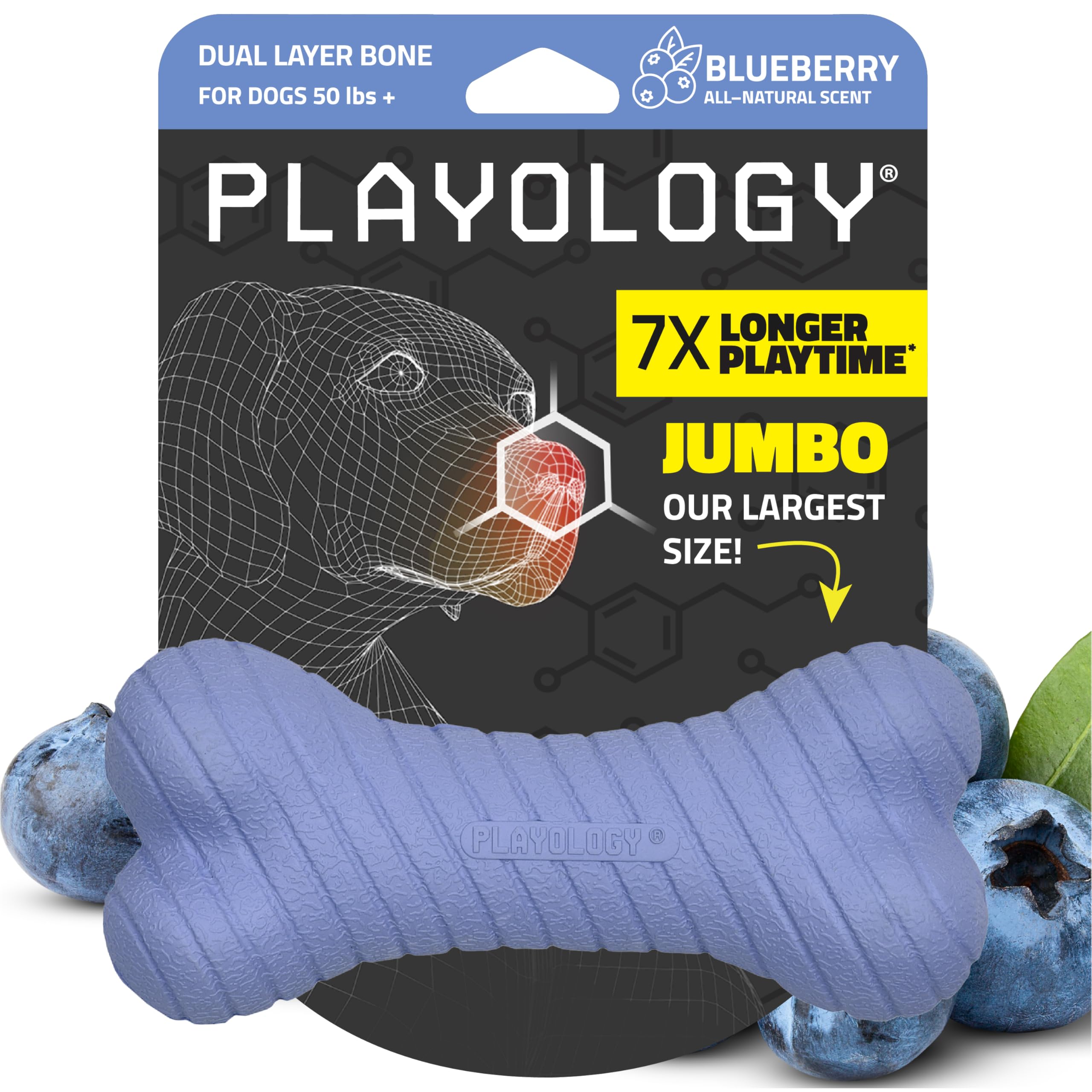 Playology Dog Toys | Dual Layer Bone Durable Chew Toy Bone for Dogs | Jumbo Blueberry Scented Toy - Easy to Clean and Made from 