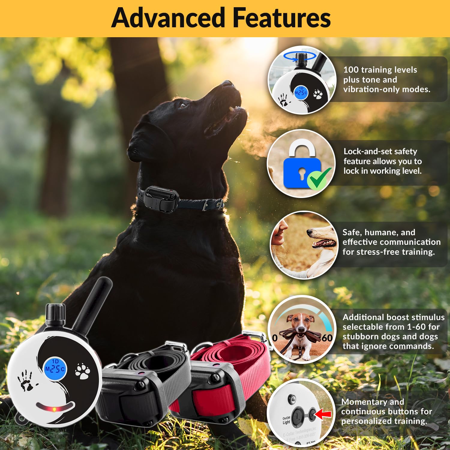 Educator E-Collar Dog Training Collar, Rechargeable, 100 Levels, for Small-Medium Dogs, Zen Color, Model ZEN-302