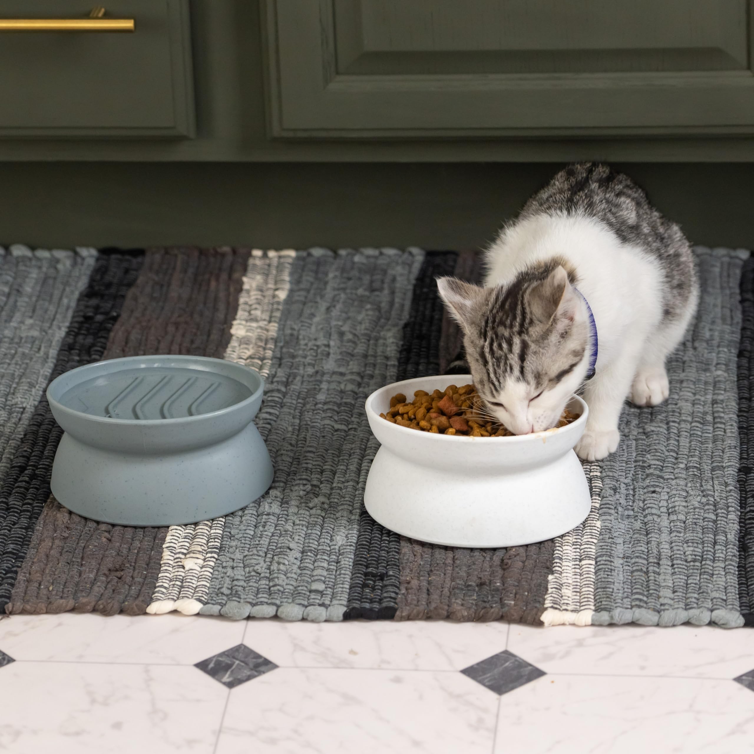 Kitty City Raised Cat Food Bowl Collection/Stress Free Pet Feeder and Waterer and Slow Feed Bowls