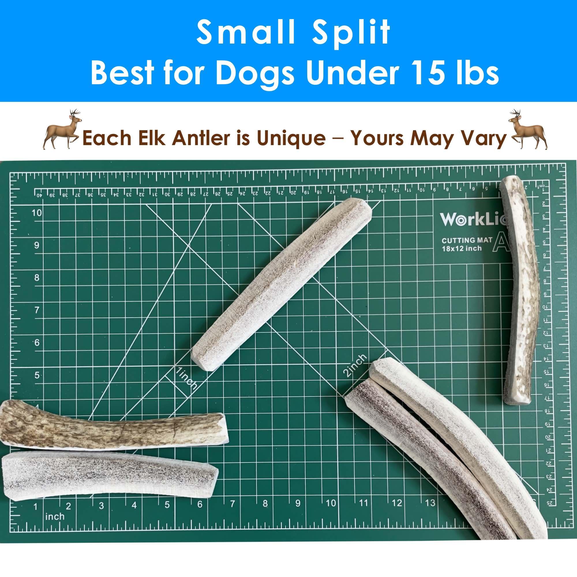Deluxe Naturals 1-Pack Small Split Elk Antler Dog Chew (5 to 6.5+ in) - All Natural, Premium Grade A, Odor-Free, USA-Sourced - L