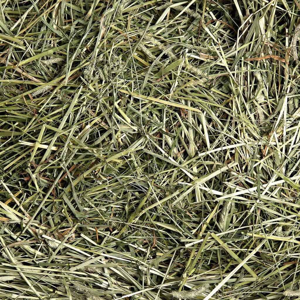 Small Pet Select Timothy Hay Pet Food, High Fiber, 2 lb, No Artificial Color, Model Tim1st2