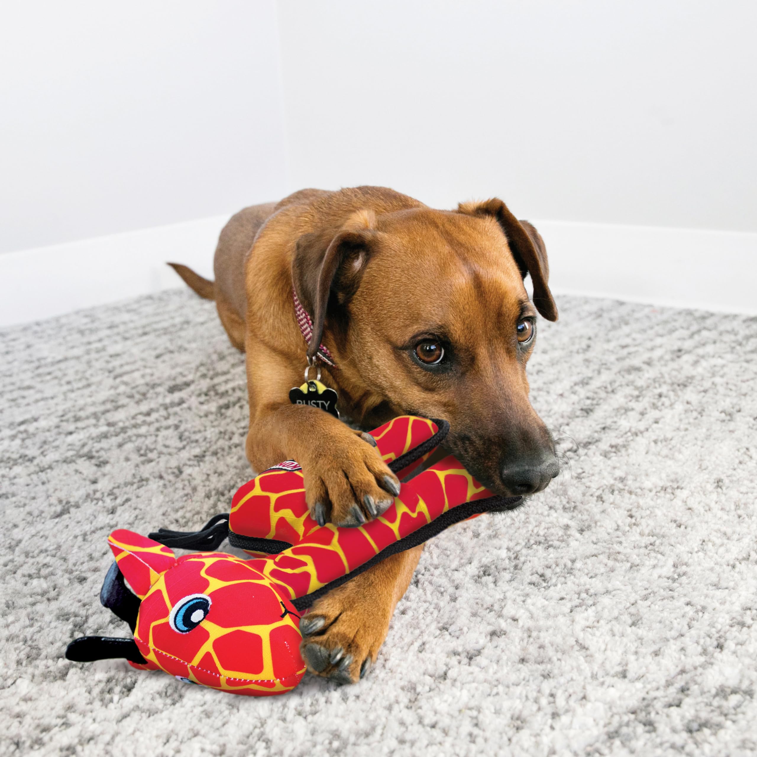 Kong Ballistic Durable Squeaker Dog Toy (Giraffe)