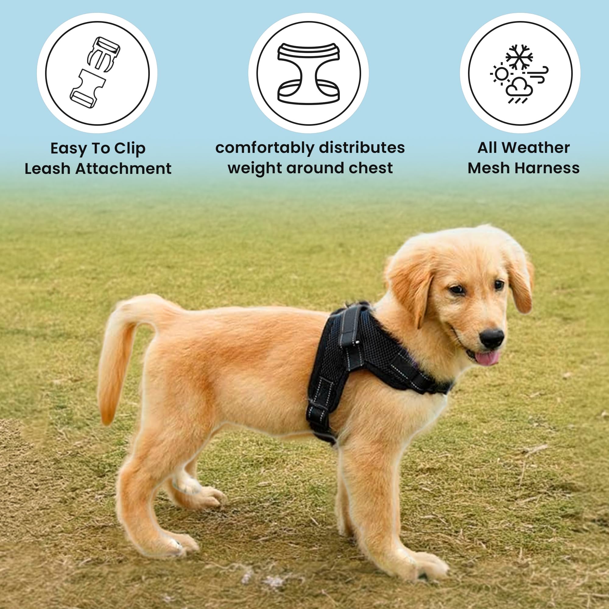 Copatchy No Pull Reflective Adjustable Dog Harness With Handle (X-Small, Black)