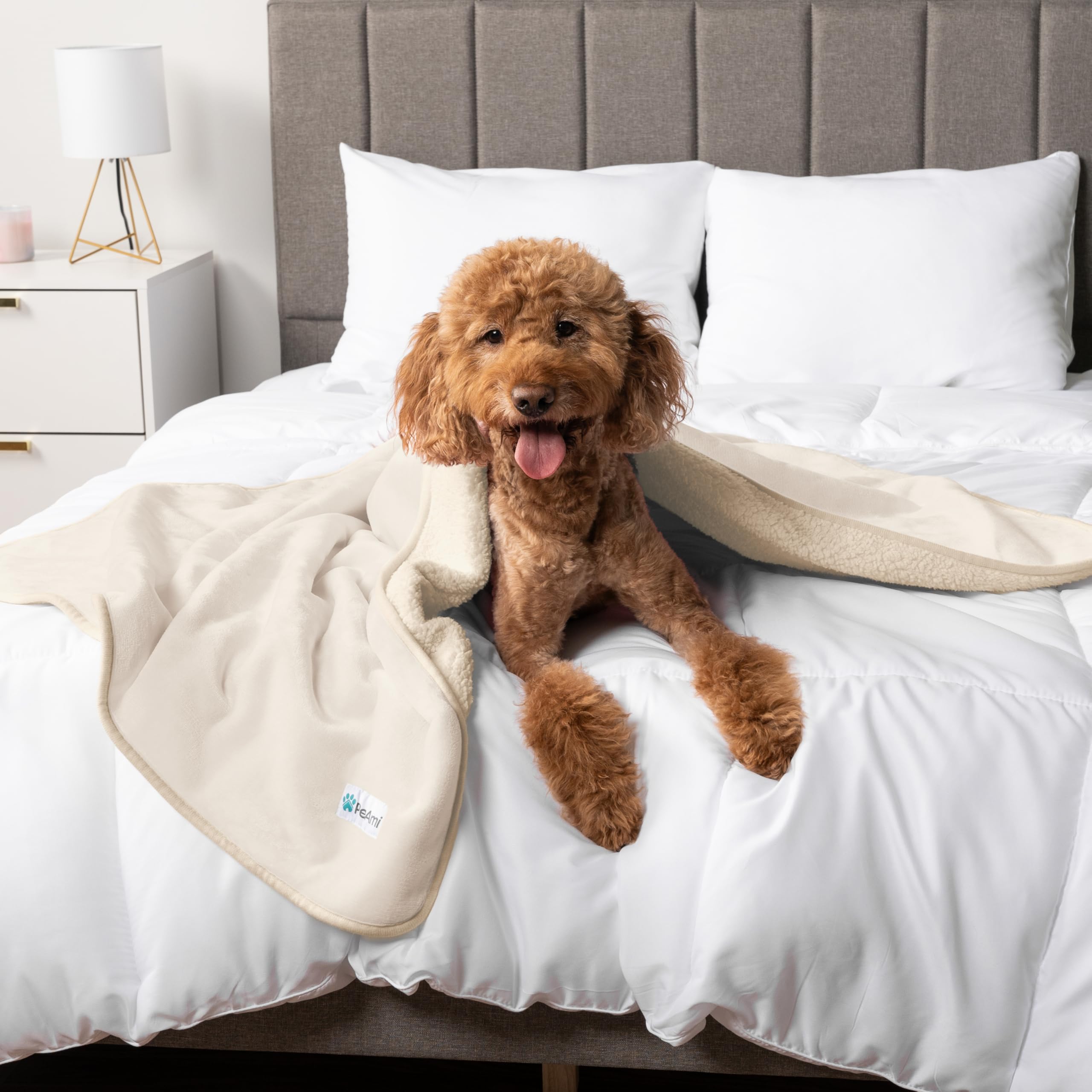 Petami Waterproof Dog Blanket For Medium Large Dogs, Pee Proof Pet Blanket For Bed Couch, Reversible Water Proof Blanket For Puppy Indoor Cat, Soft Dog Pee Crate Cover Washable, 60X80 Beige