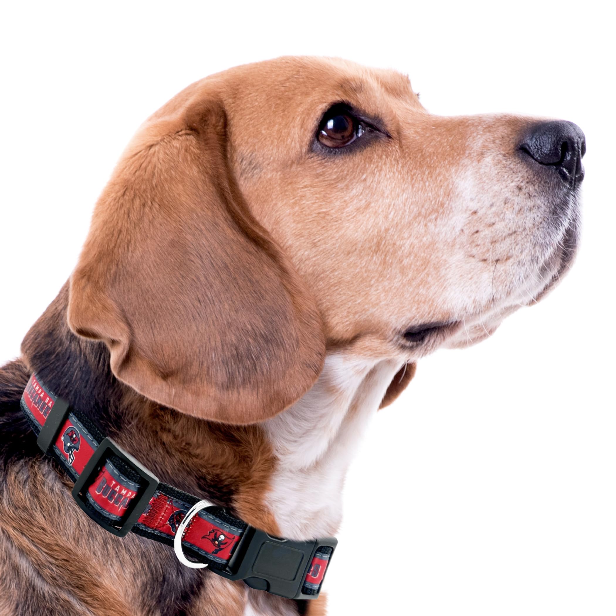 Pets First NFL Tampa Bay Buccaneers Licensed PET COLLAR, Small - Heavy-Duty, Strong, and Durable Dog Collar. Available in 31 Foo