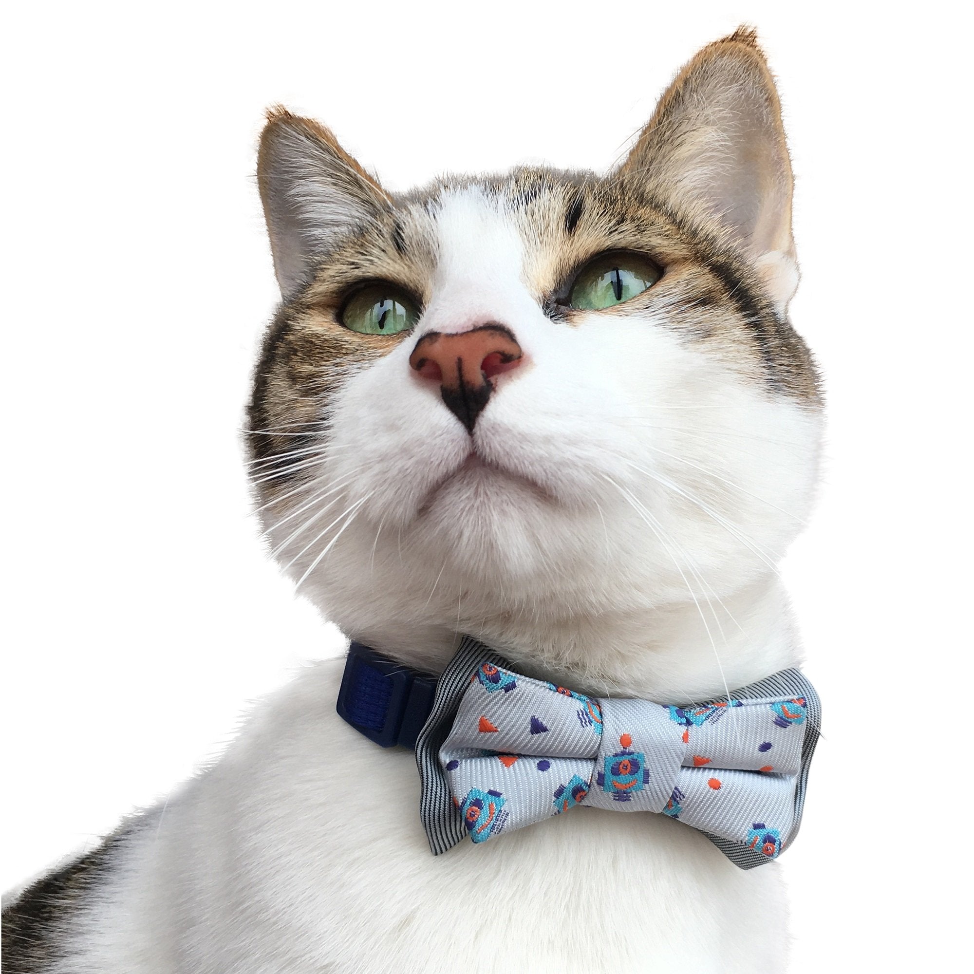 Blueberry Pet Gift Box With Pack Of 2 Handmade Dog Cat Bow Tie, Go For Fun Designer Bowtie Set, 4' * 2.5'