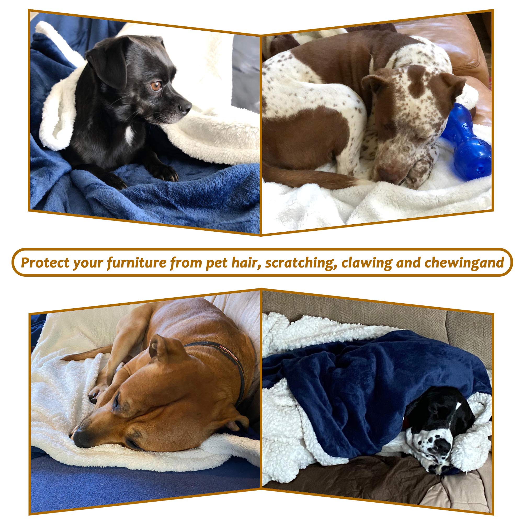 Large Dog Blanket, Super Soft Fluffy Sherpa Fleece Dog Couch Blankets and Throws for Large Medium Small Dogs Puppy Doggy Pet Cat