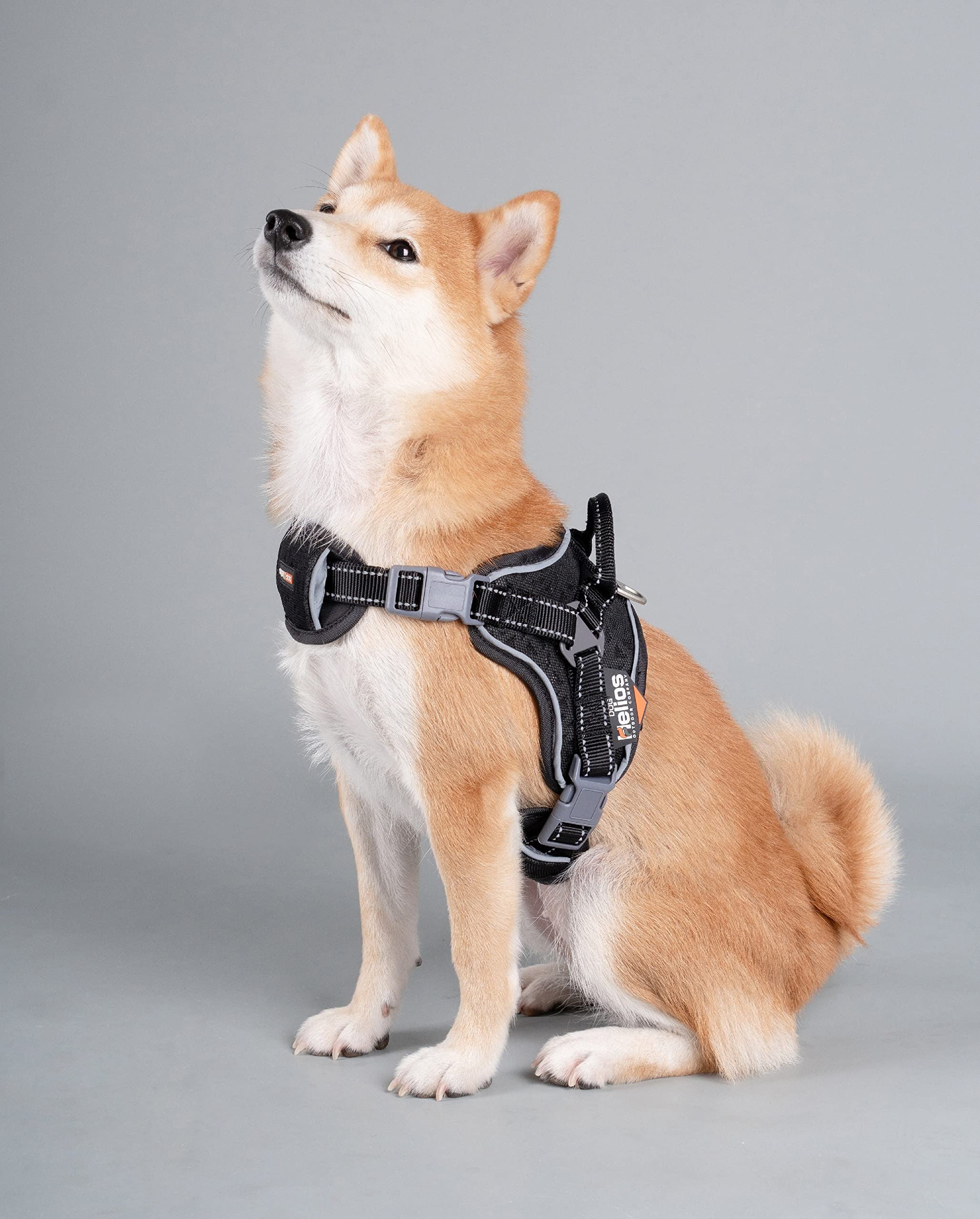 Dog Helios Scorpion Sporty High-Performance Free-Range Dog Harness, Lg, Black