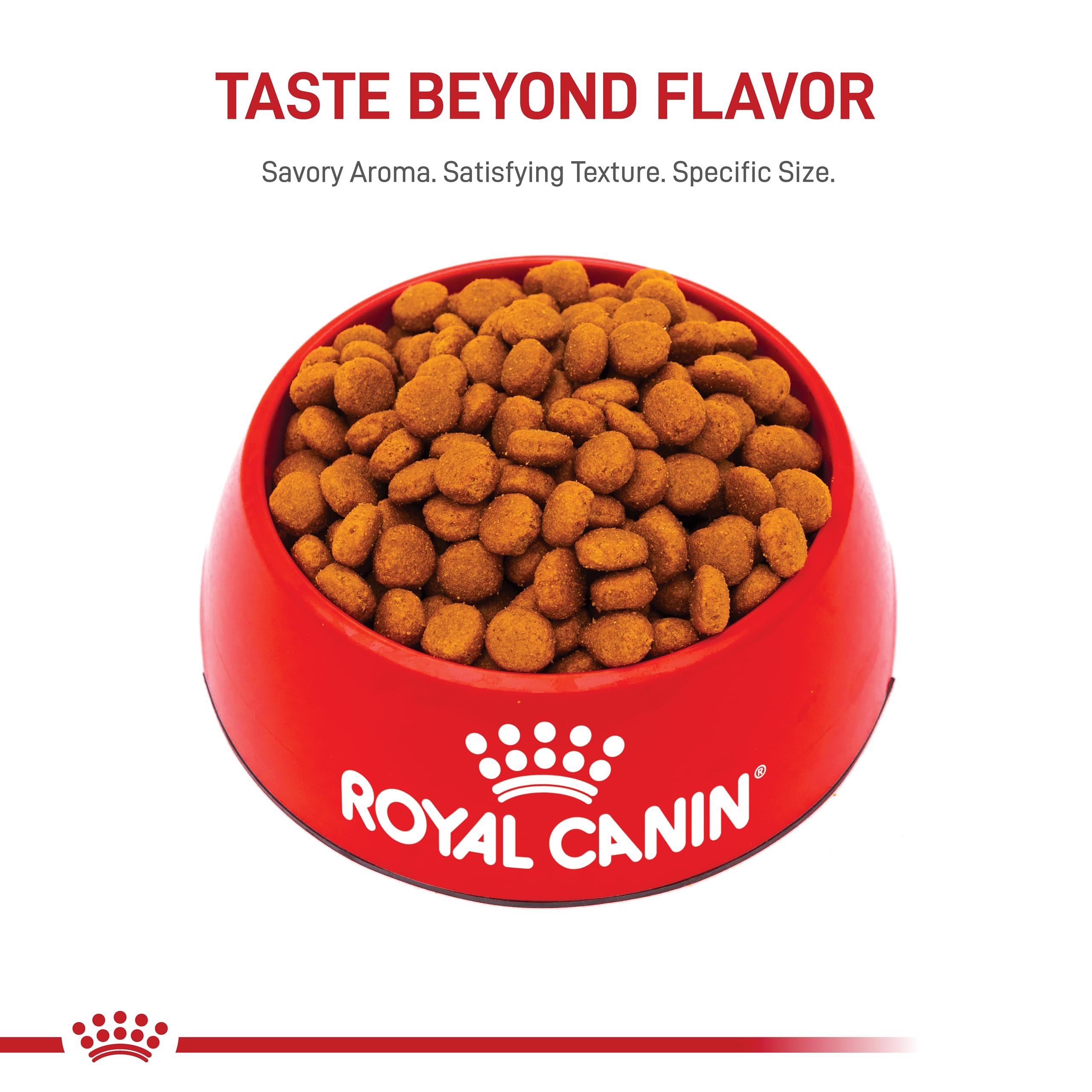 Royal Canin Large Digestive Care Dry Dog Food, 30 lb bag