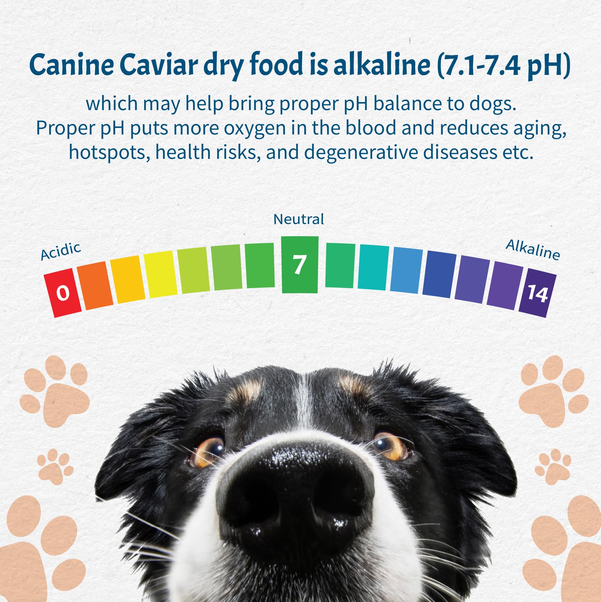 Canine Caviar - Special Needs: Chicken & Brown Rice Alkaline Dry Dog Food, Limited Ingredients, Gluten-Free, Based on Science &