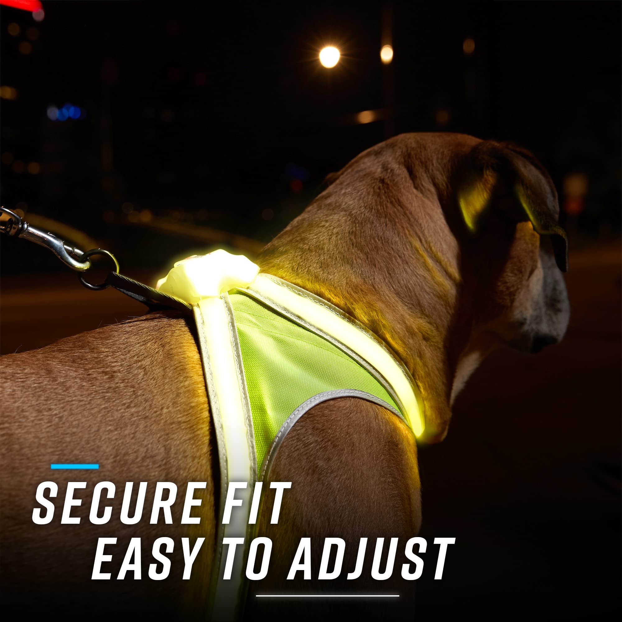 Noxgear LightHound (Large) + High-Visibility Dog Leash - Illuminated and Reflective Harness for Dogs Including Multicolored LED