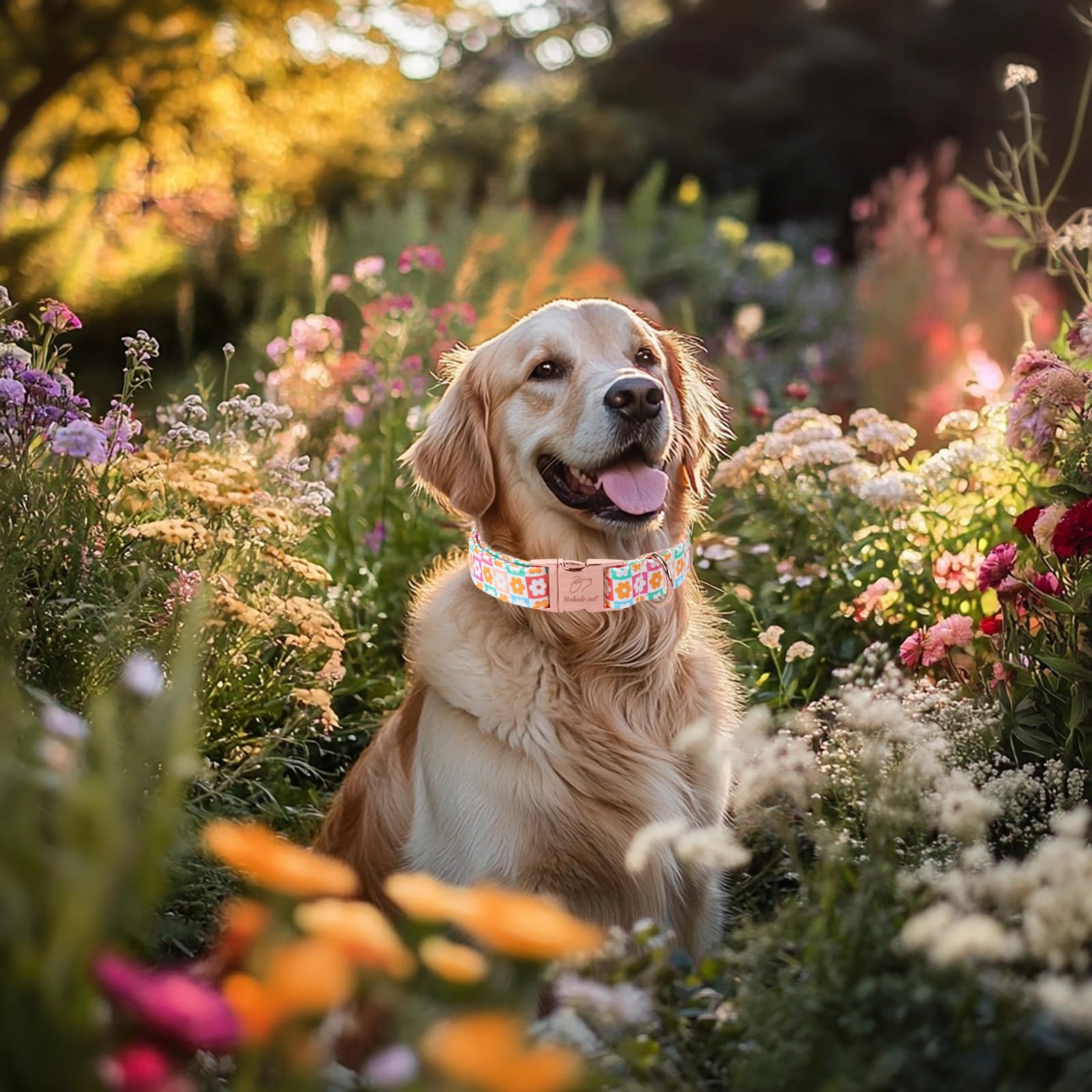 Babole Pet Spring Dog Collar, Pastel Checkered Flowers Pet Collar With Metal Buckel, Durable Adjustable Designer Dog Collars For