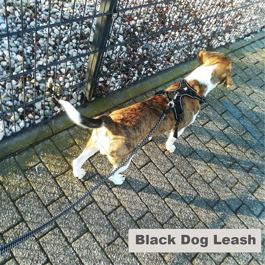 Mycicy 3Ft 4Ft 6Ft 10Ft Rope Reflective Dog Leash - Nylon Braided Heavy Duty Strong Dog Training Leash For Large And Medium Dogs Walking Leads (6Ft, Black)