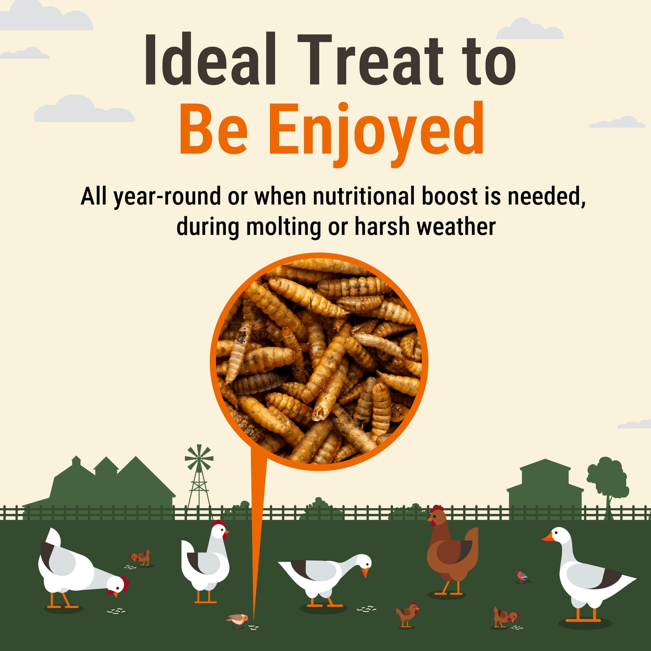 Supreme Grubs Natural Black Soldier Fly Larvae for Chickens, 85X More Calcium Than Mealworms-High Protein Grub Food Chicken Trea